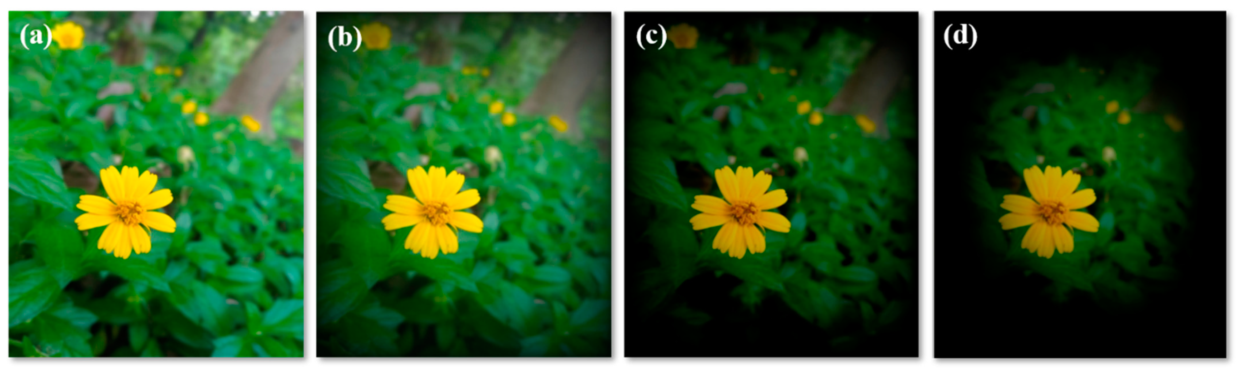 Biosensors 13 00663 g006 Biosensors 13 00663 g006