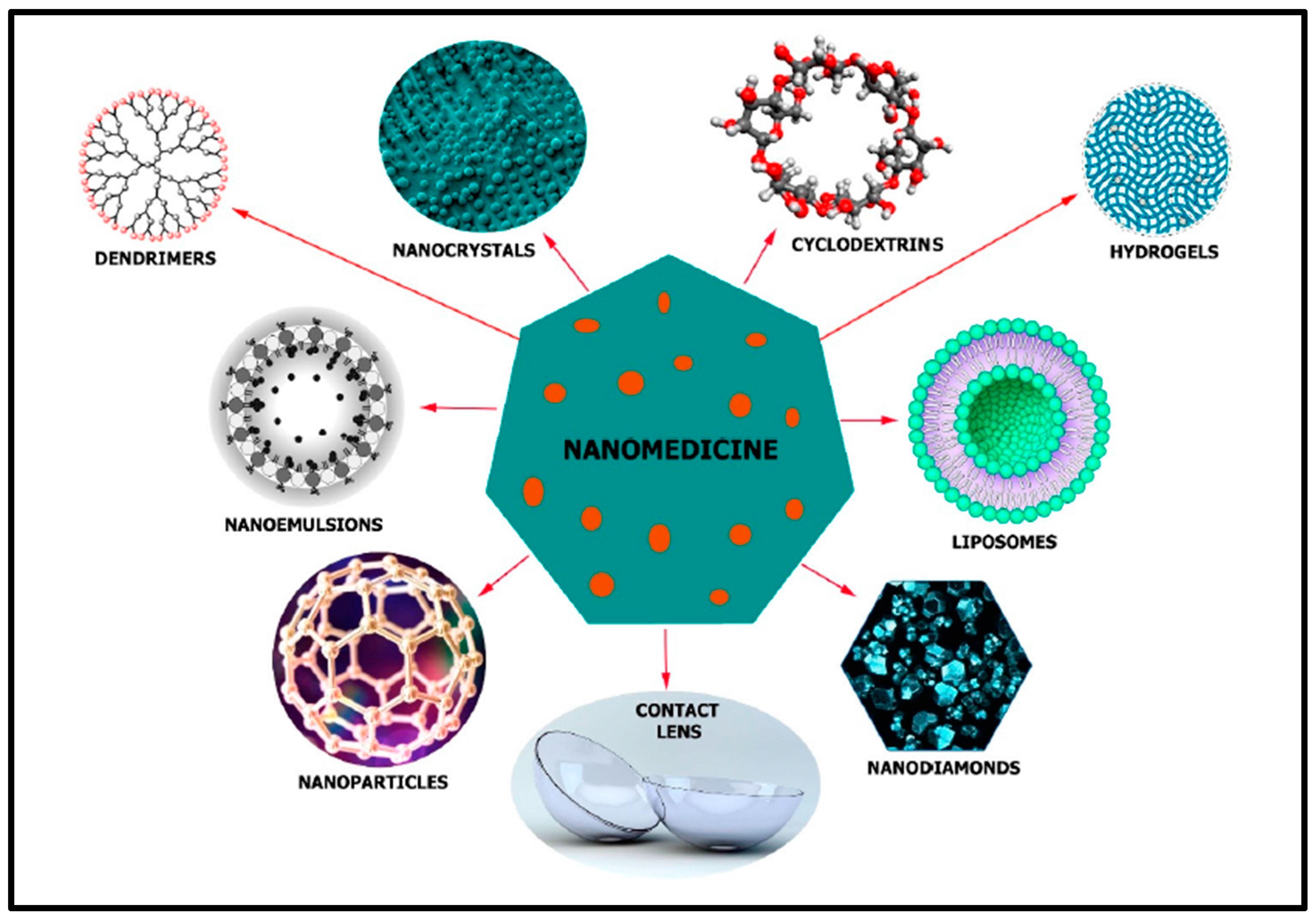 Biosensors 13 00663 g010 Biosensors 13 00663 g010