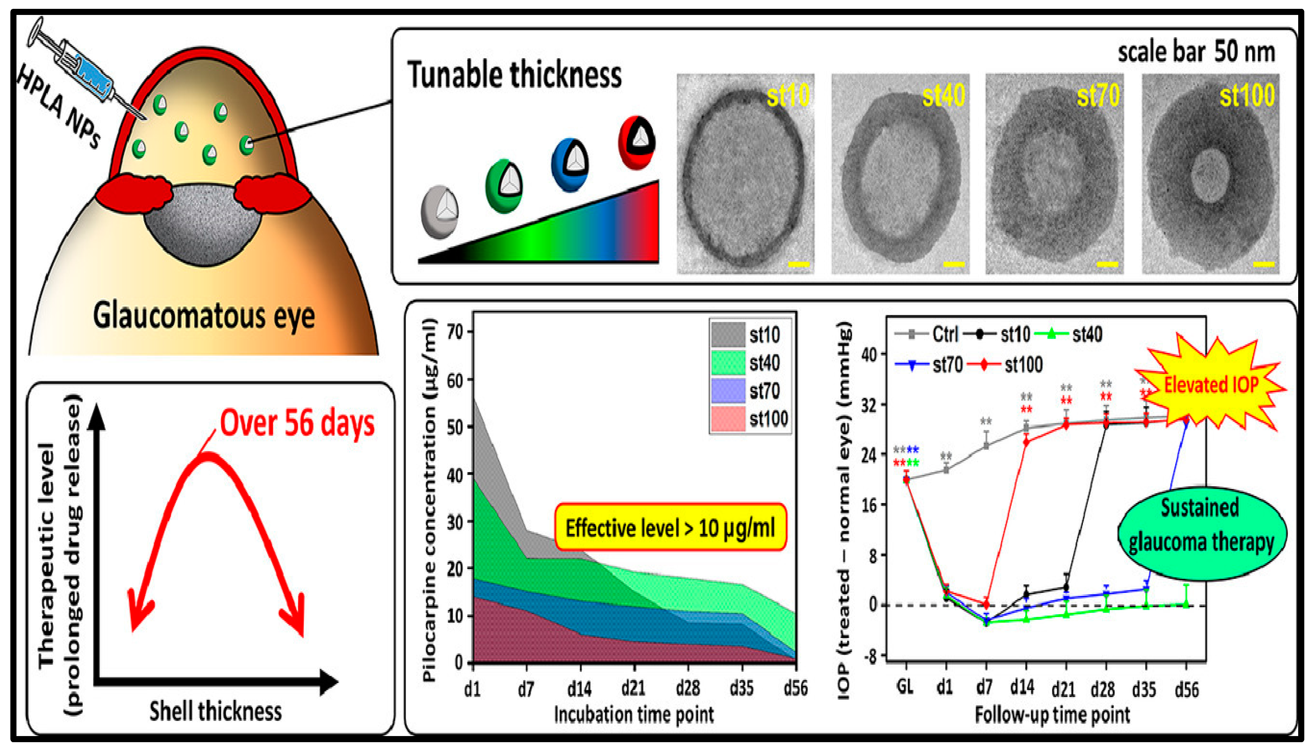 Biosensors 13 00663 g011 Biosensors 13 00663 g011