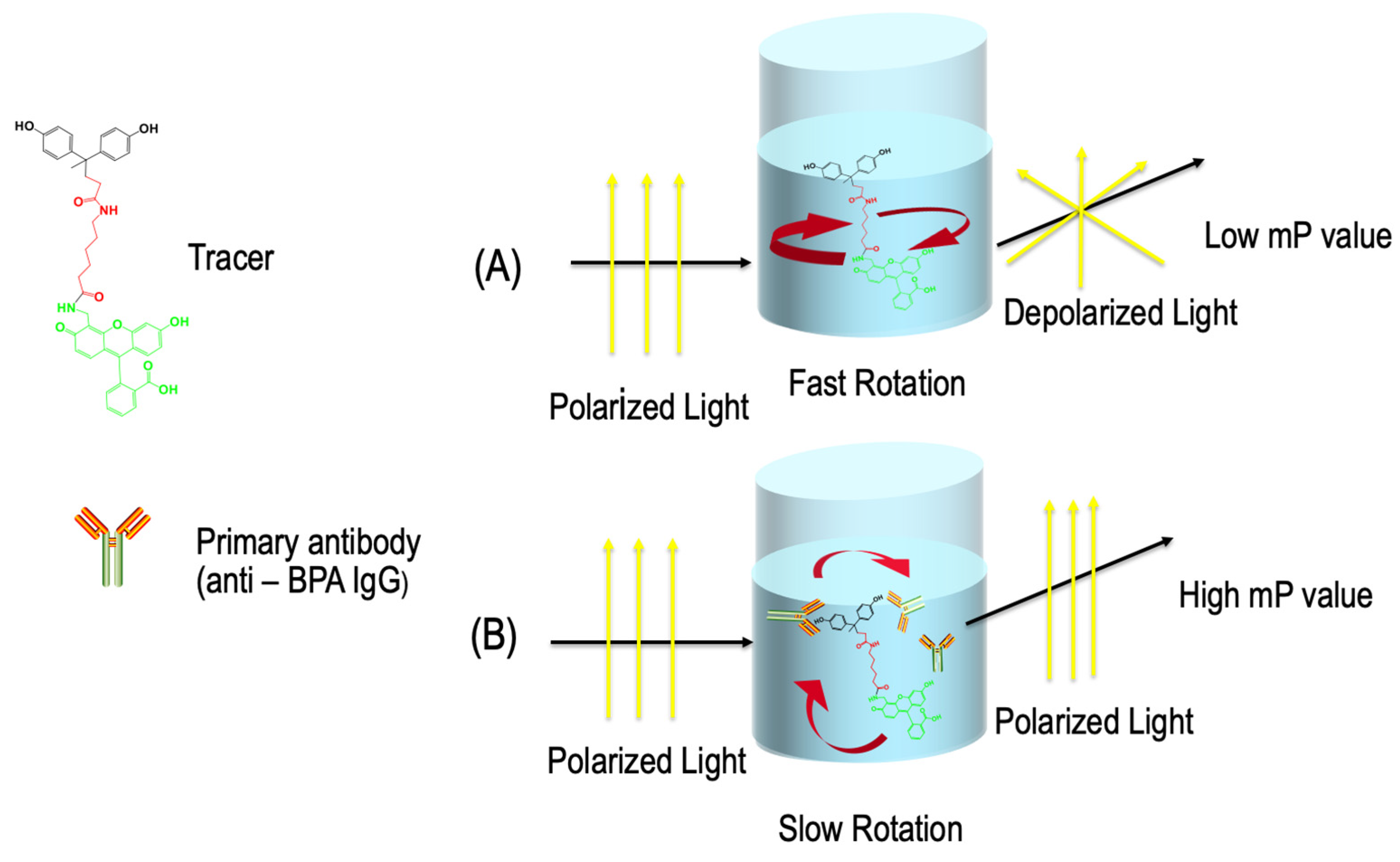 Biosensors 13 00664 g001