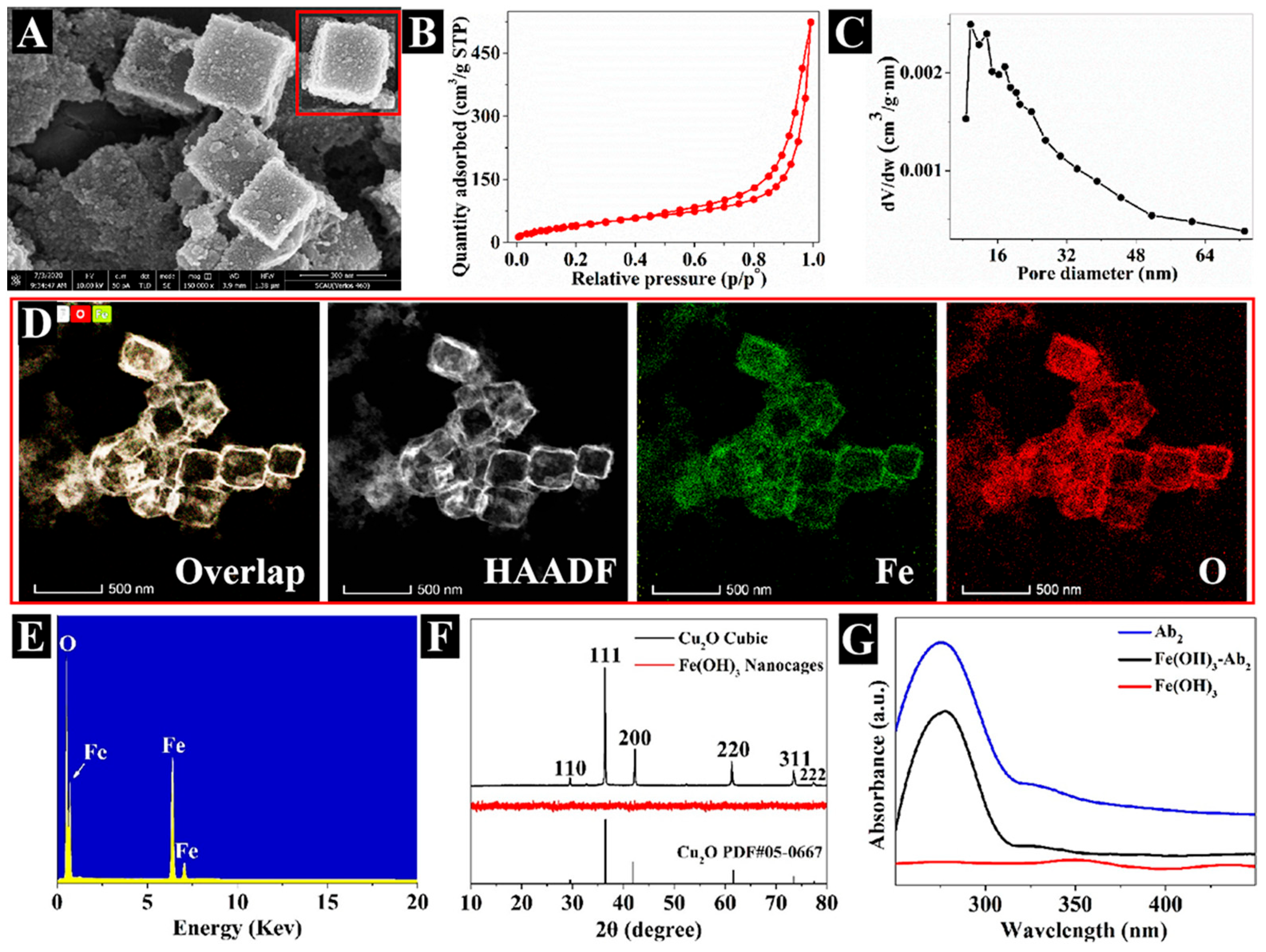 Biosensors 13 00665 g002 Biosensors 13 00665 g002