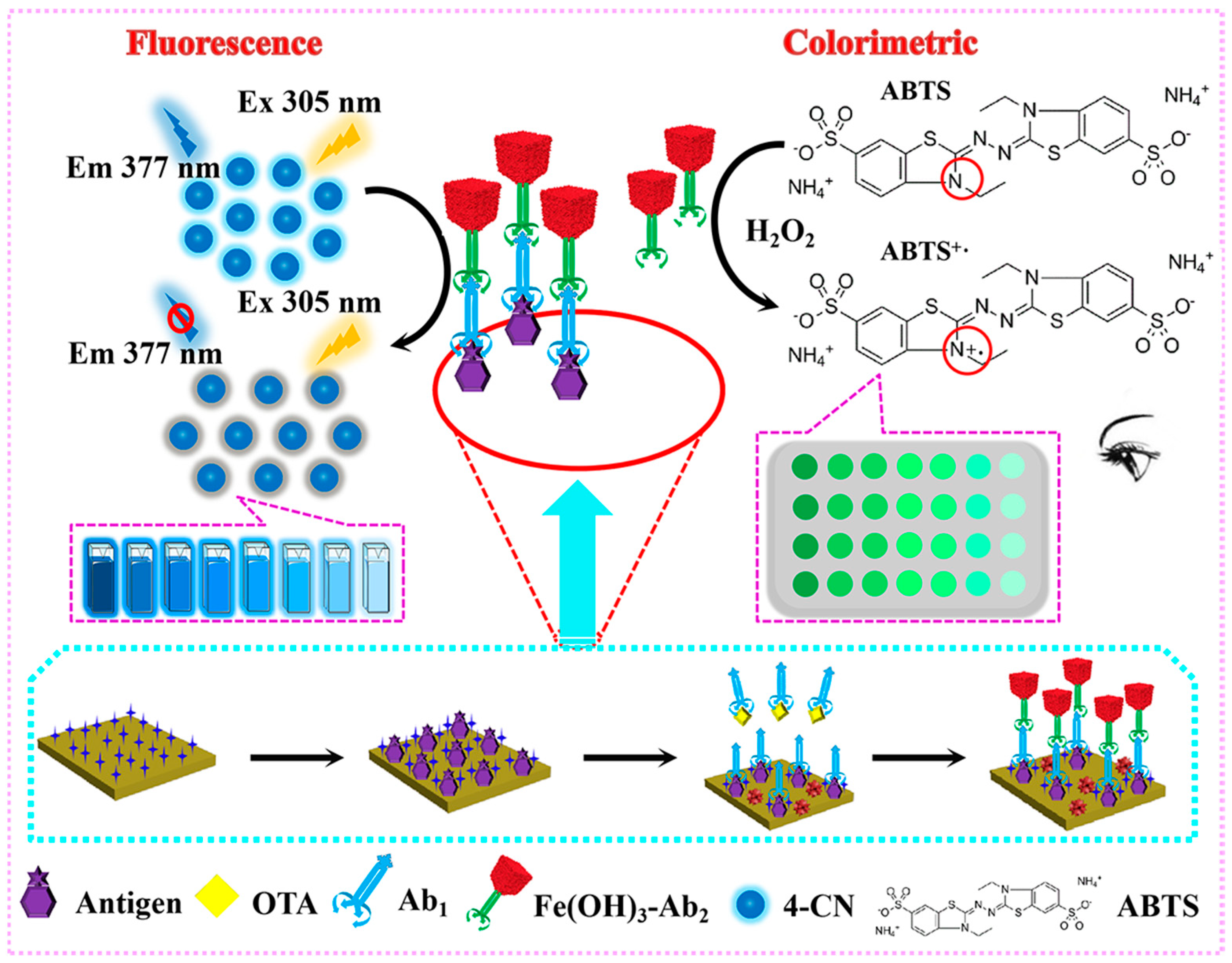 Biosensors 13 00665 sch001 Biosensors 13 00665 sch001