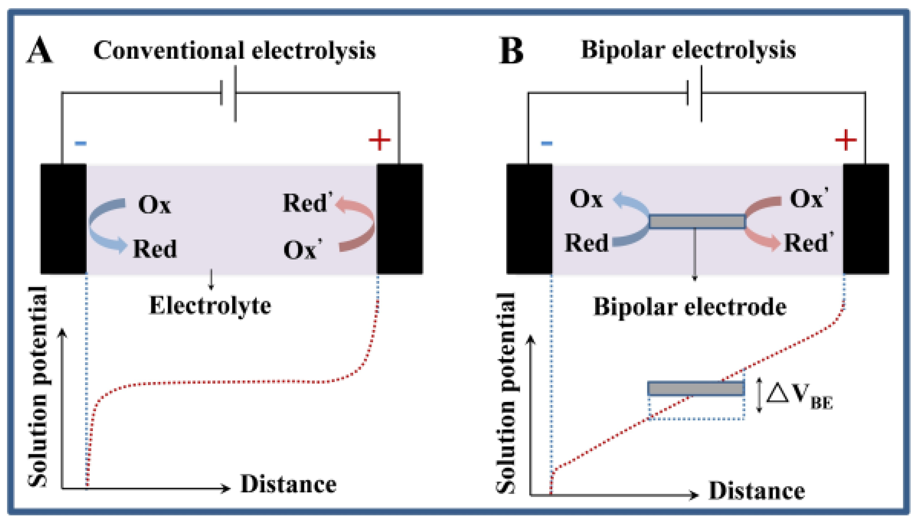 Biosensors 13 00666 g004