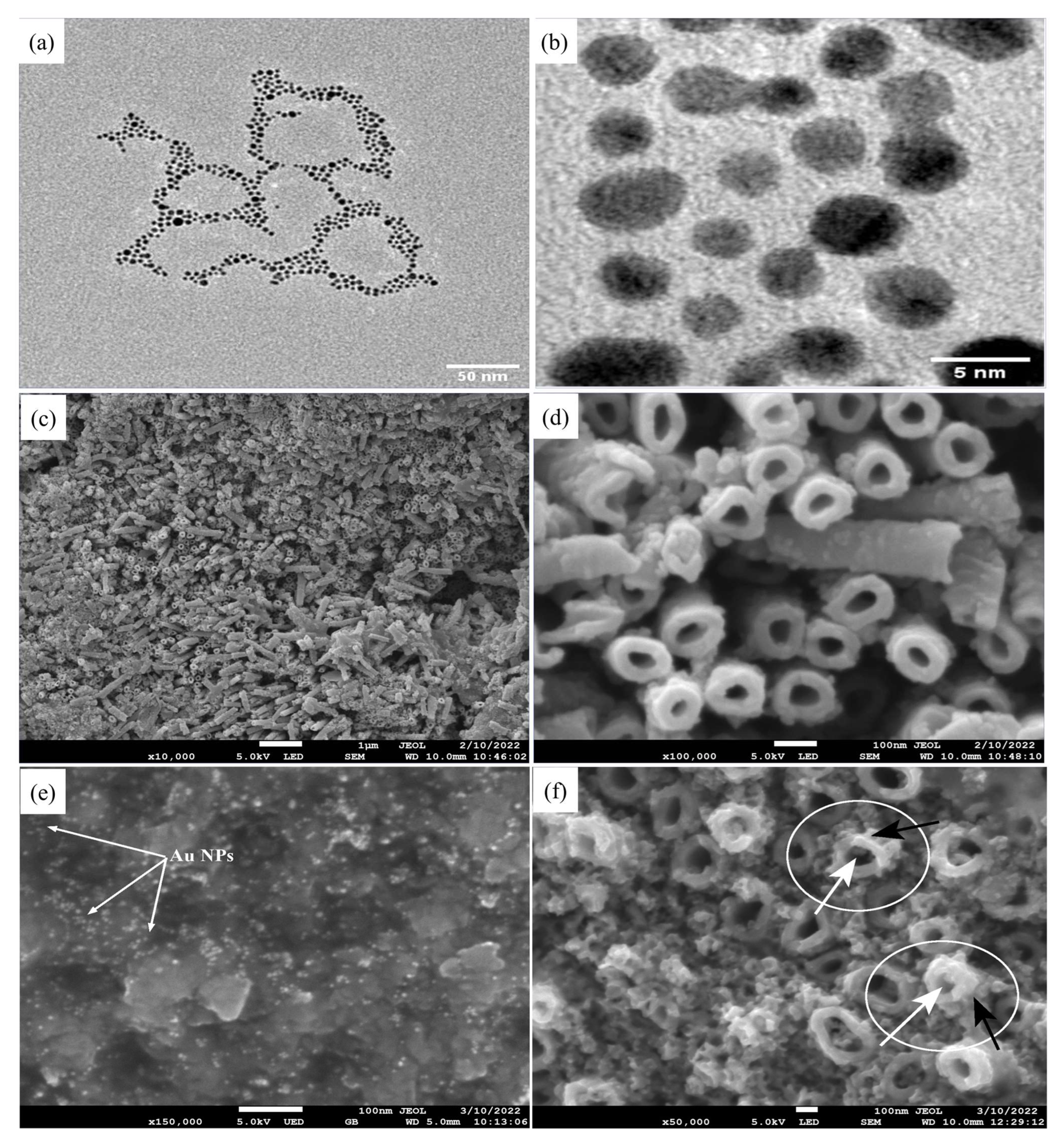 Biosensors 13 00671 g001