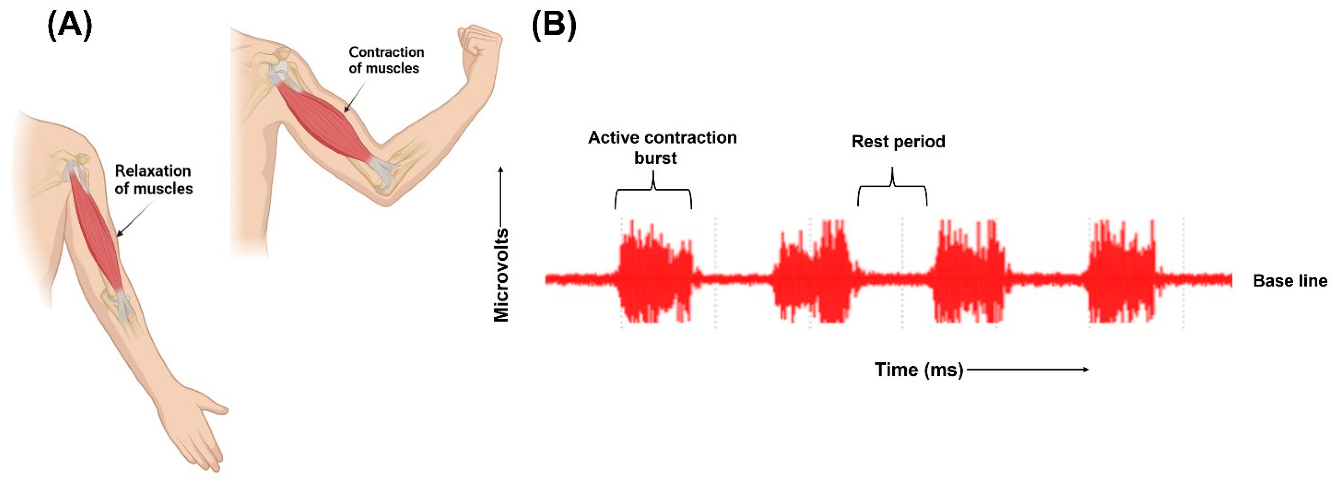Biosensors 13 00679 g003 Biosensors 13 00679 g003