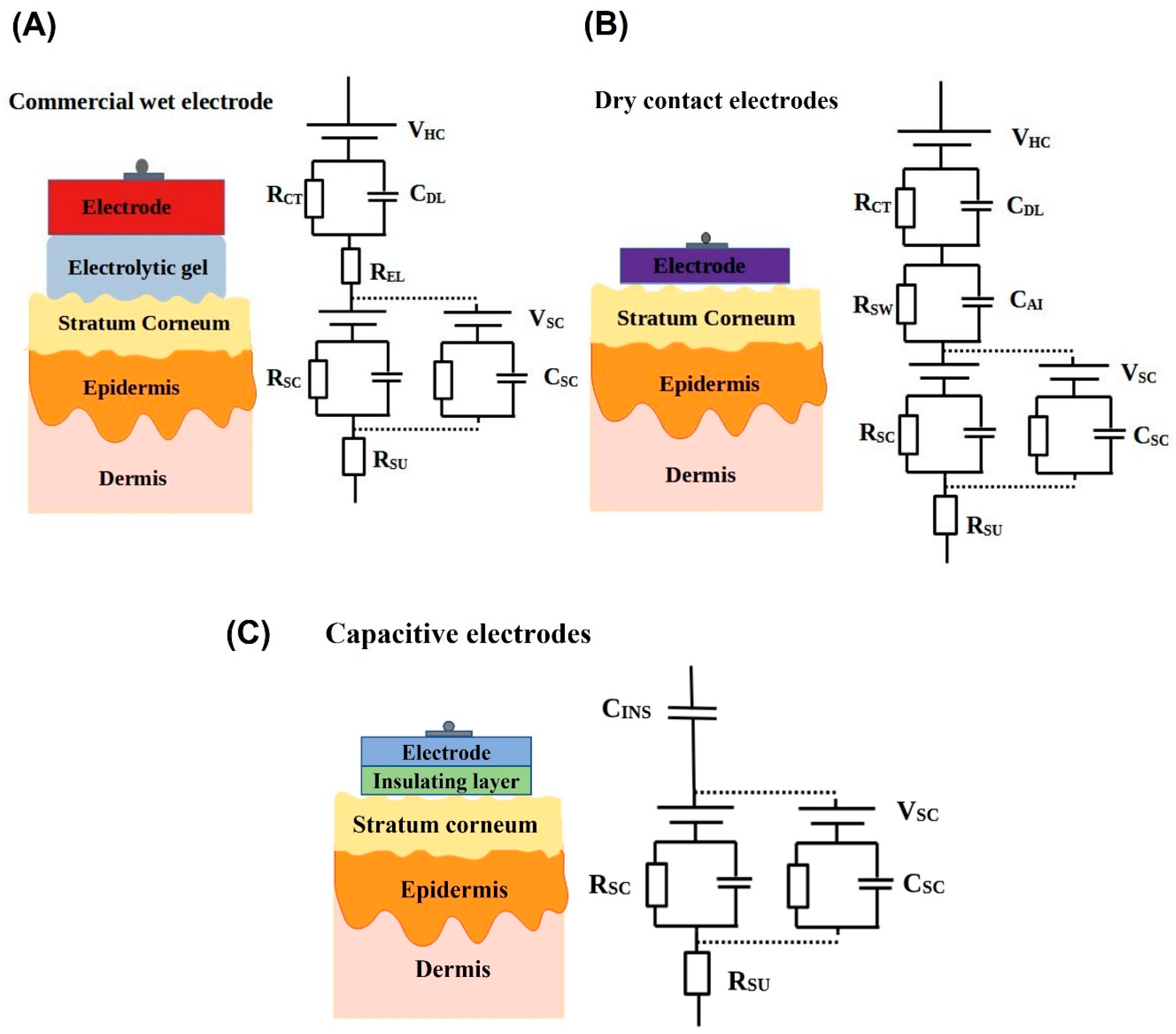 Biosensors 13 00679 g005 Biosensors 13 00679 g005