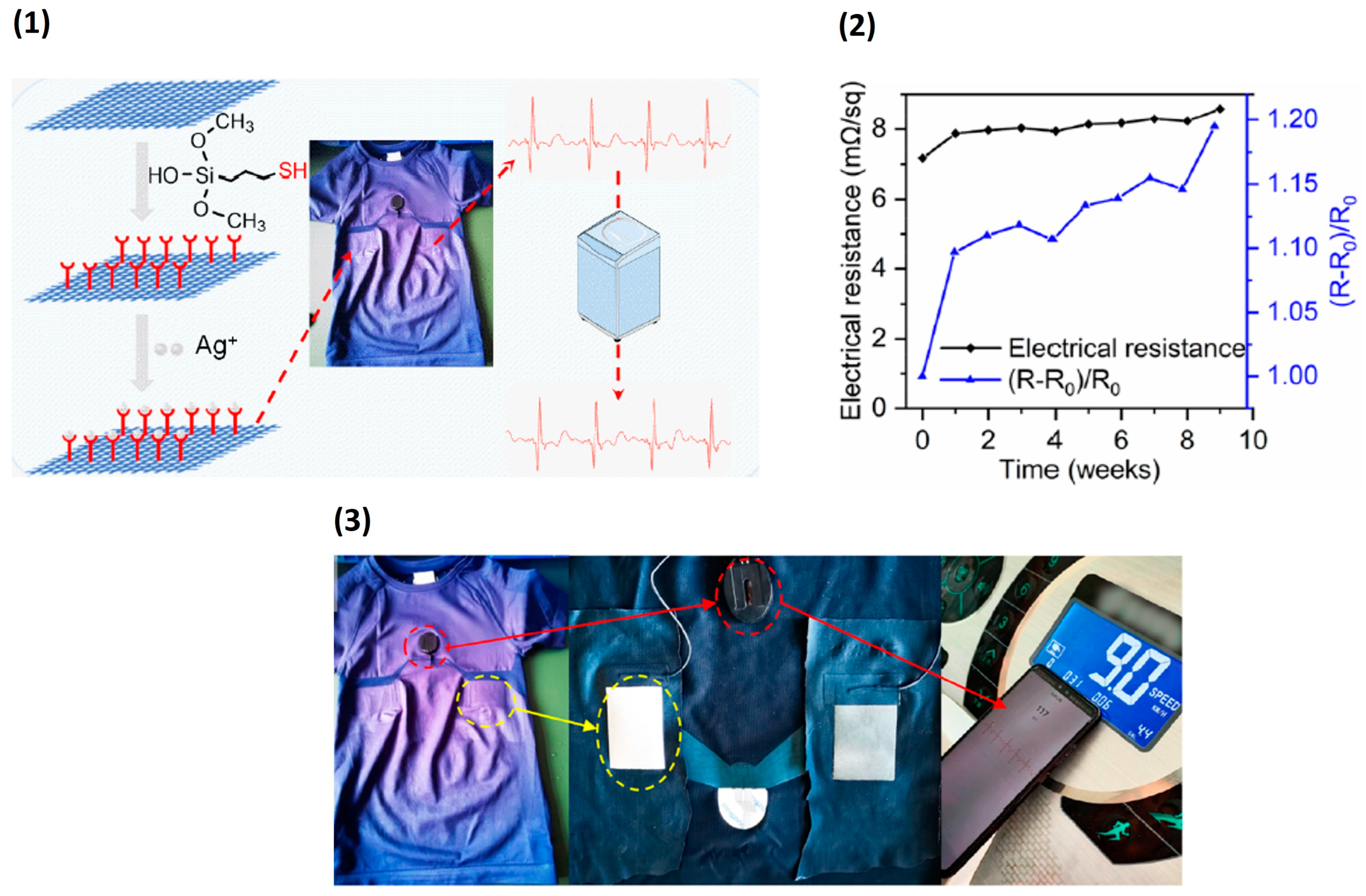 Biosensors 13 00679 g007 Biosensors 13 00679 g007