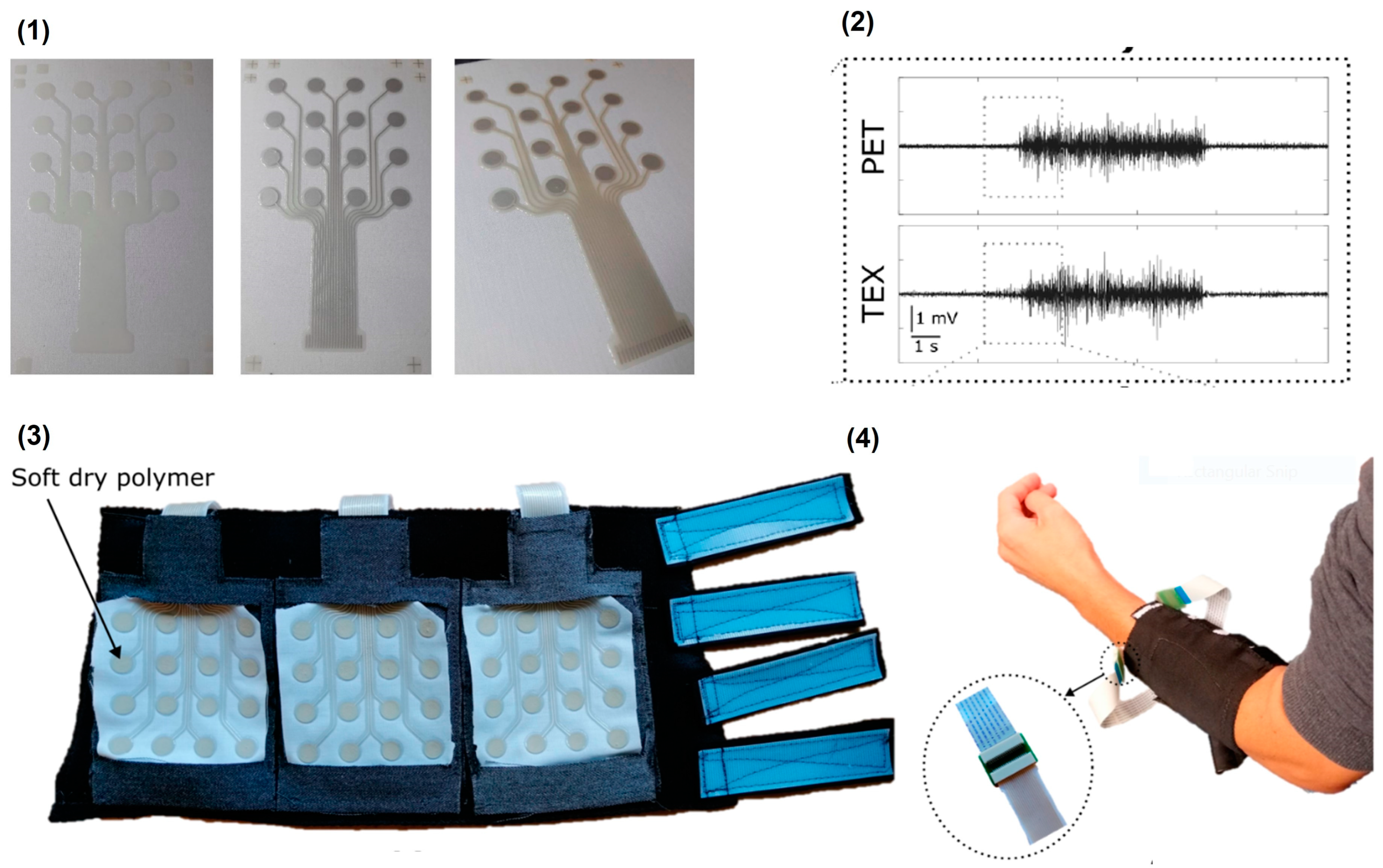 Biosensors 13 00679 g013 Biosensors 13 00679 g013