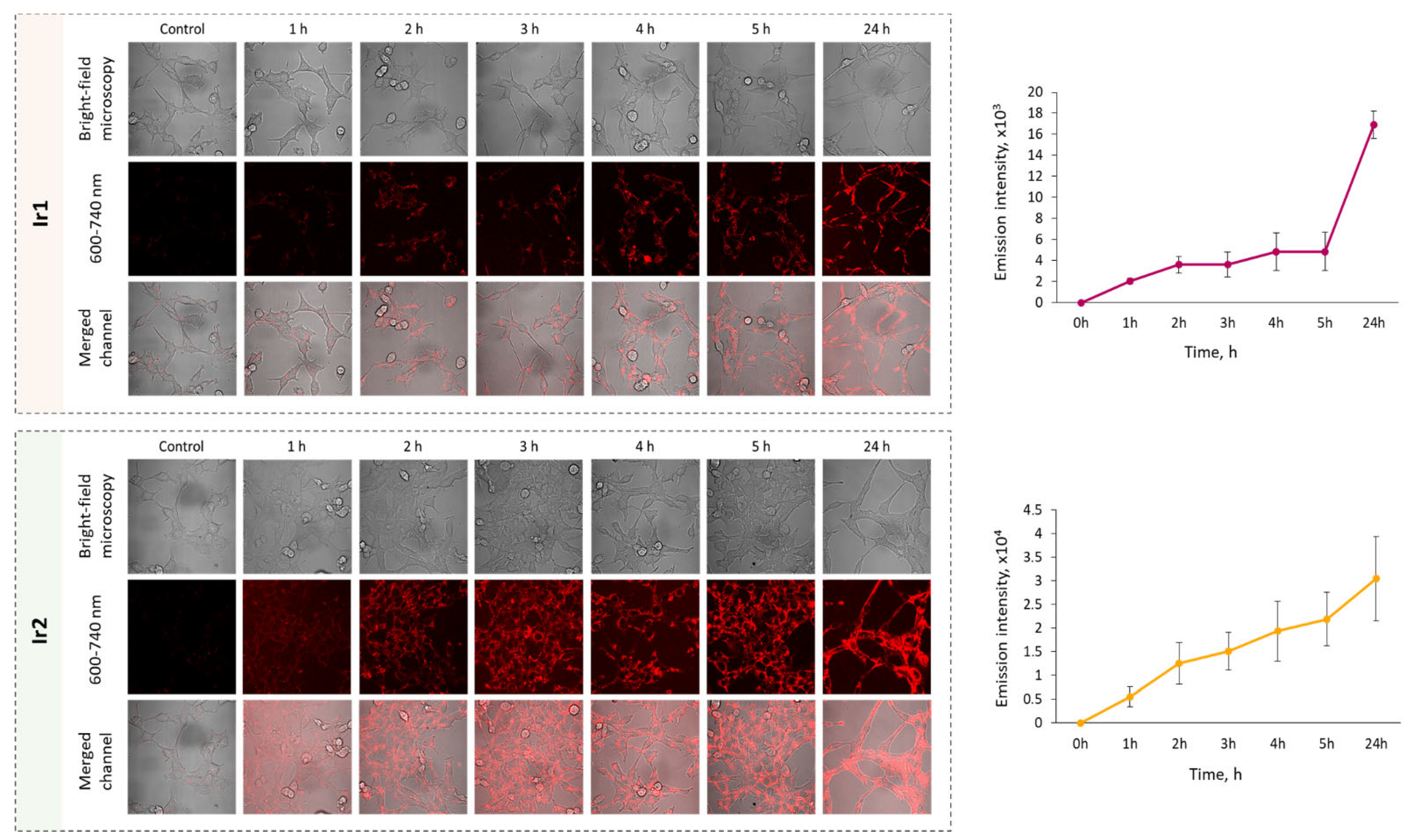 Biosensors 13 00680 g006 Biosensors 13 00680 g006