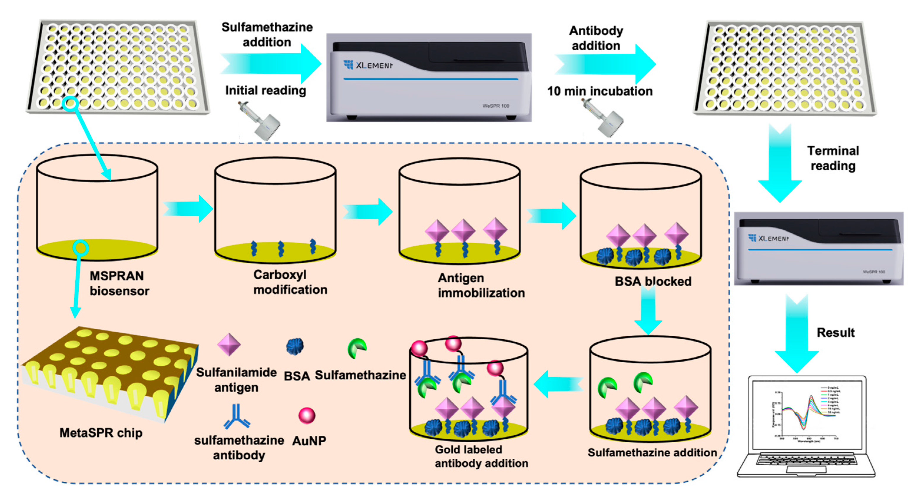 Biosensors 13 00681 g001 Biosensors 13 00681 g001