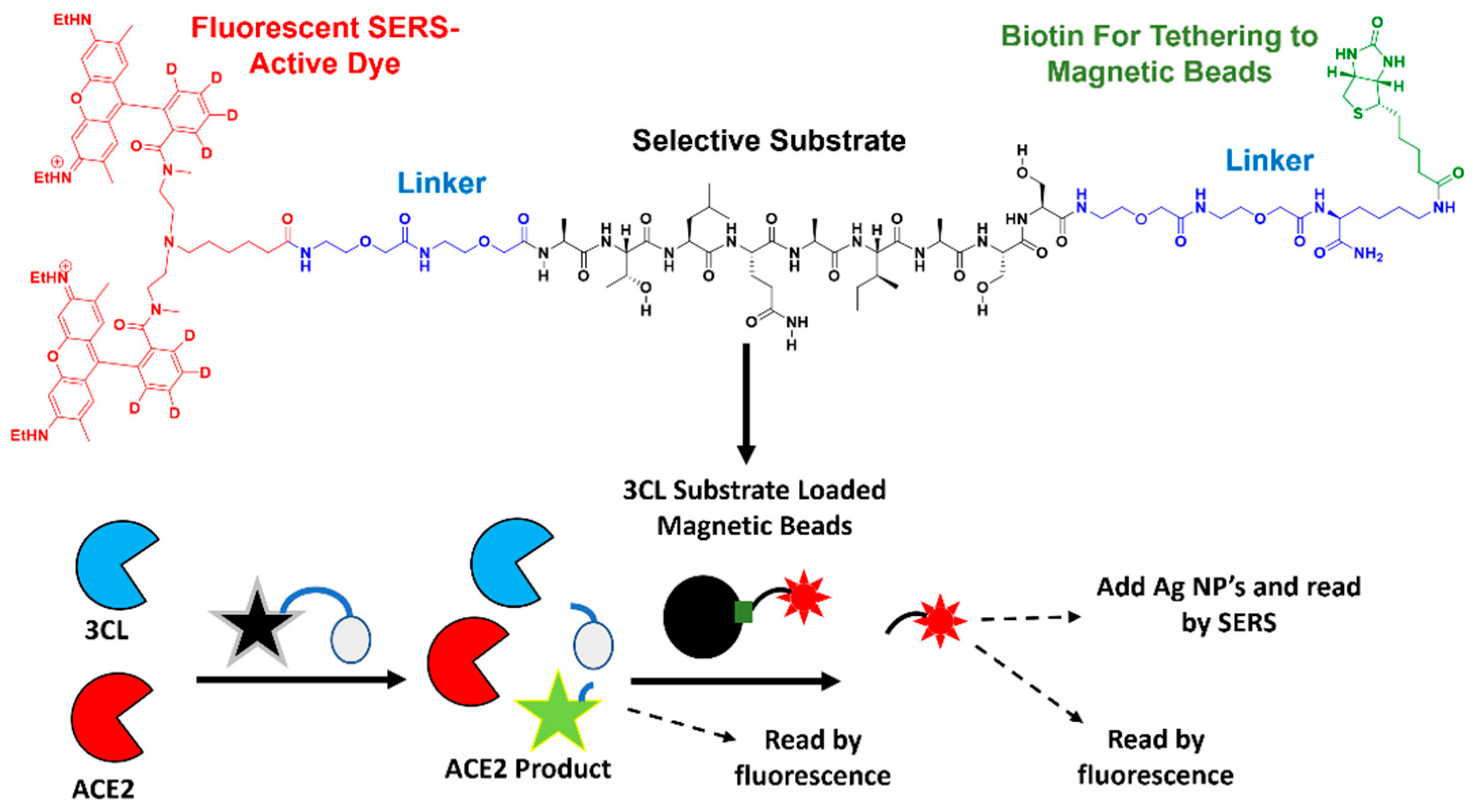 Biosensors 13 00682 sch001 Biosensors 13 00682 sch001