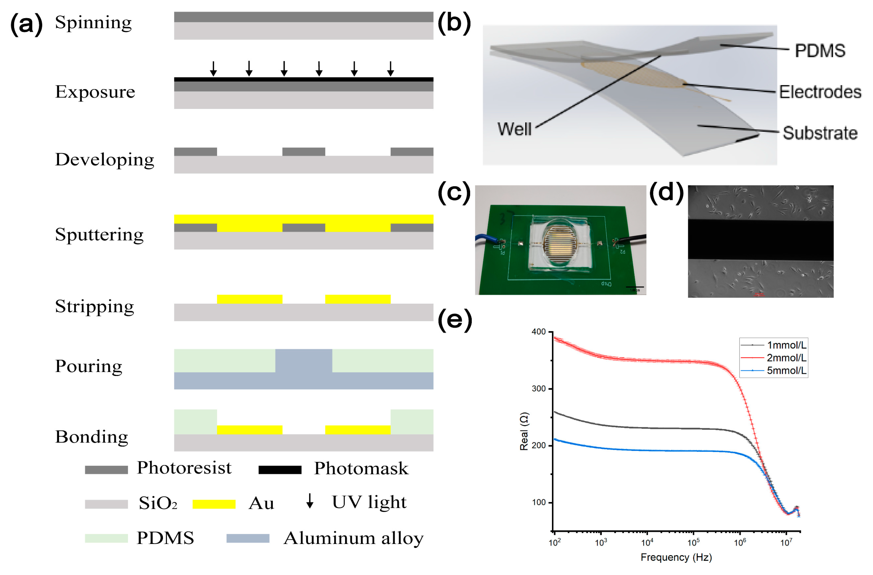 Biosensors 13 00686 g002