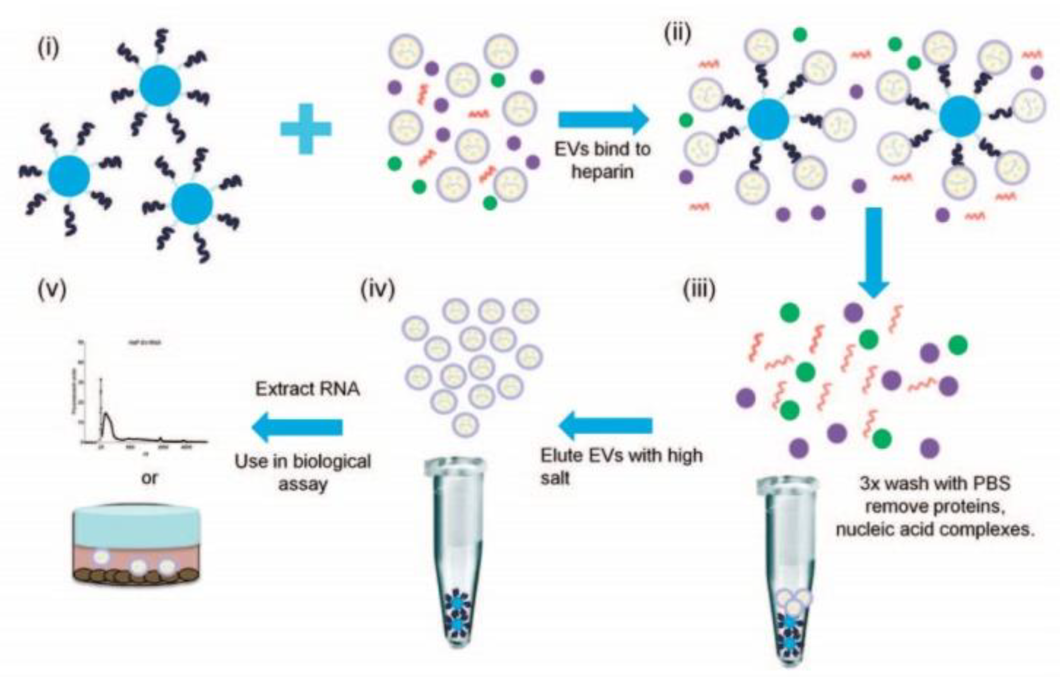 Biosensors 13 00688 g002 Biosensors 13 00688 g002