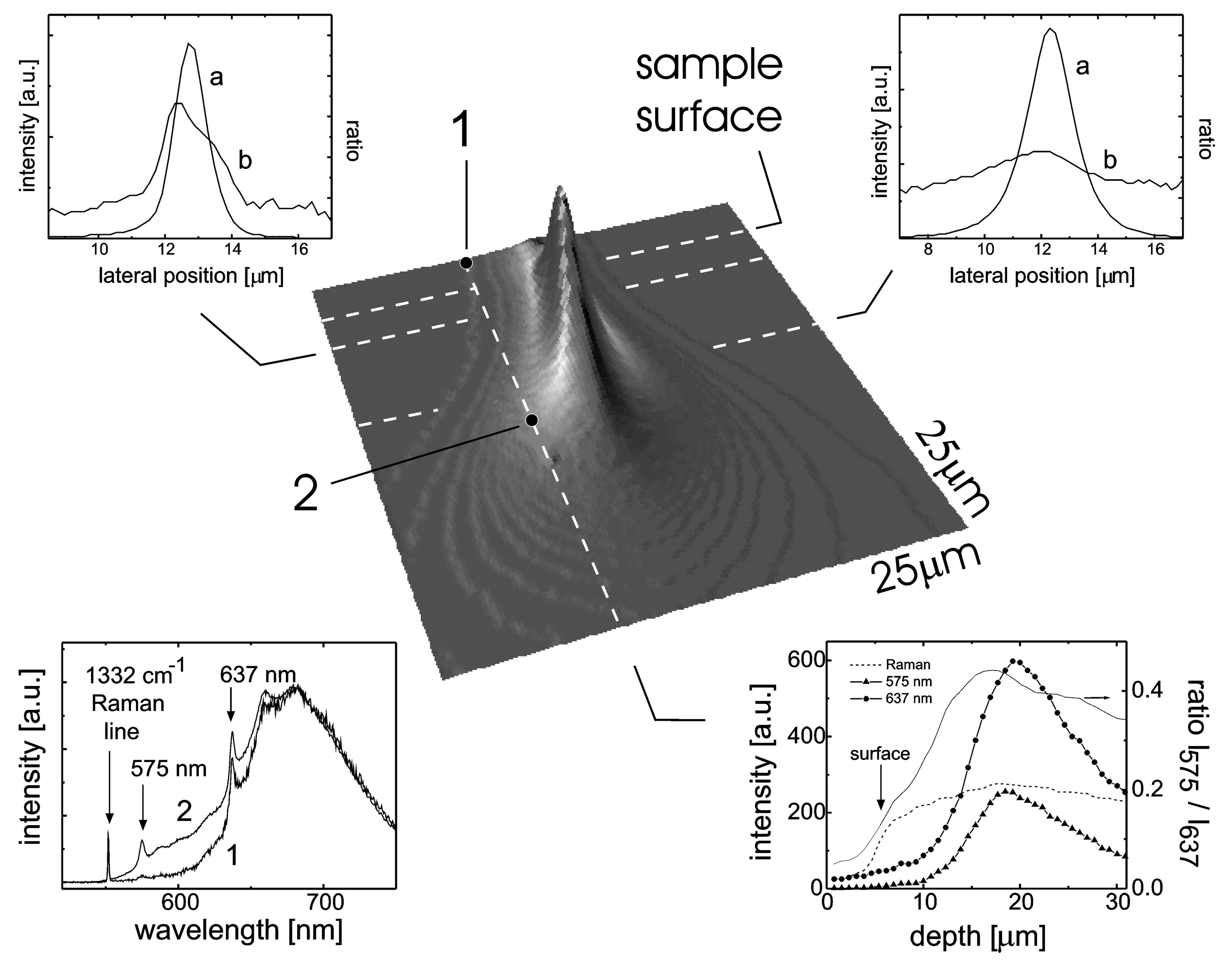 Biosensors 13 00691 g002 Biosensors 13 00691 g002