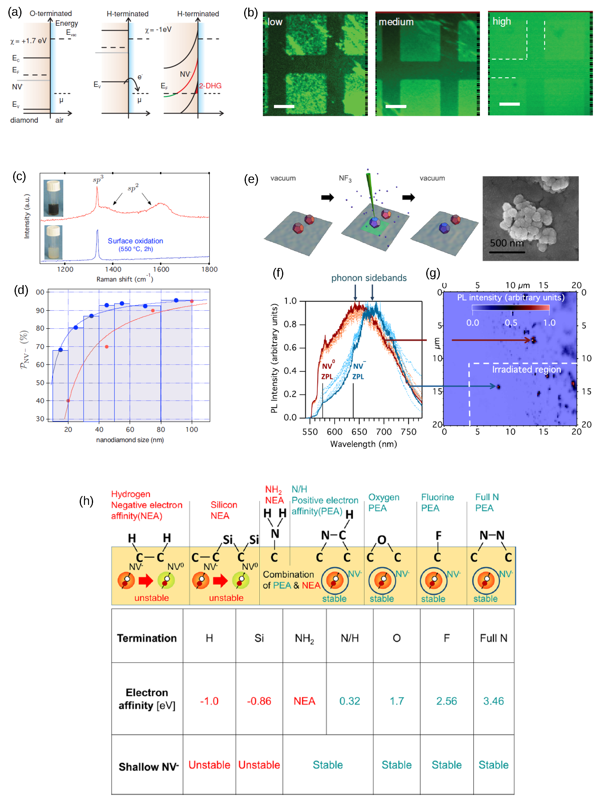 Biosensors 13 00691 g004 Biosensors 13 00691 g004