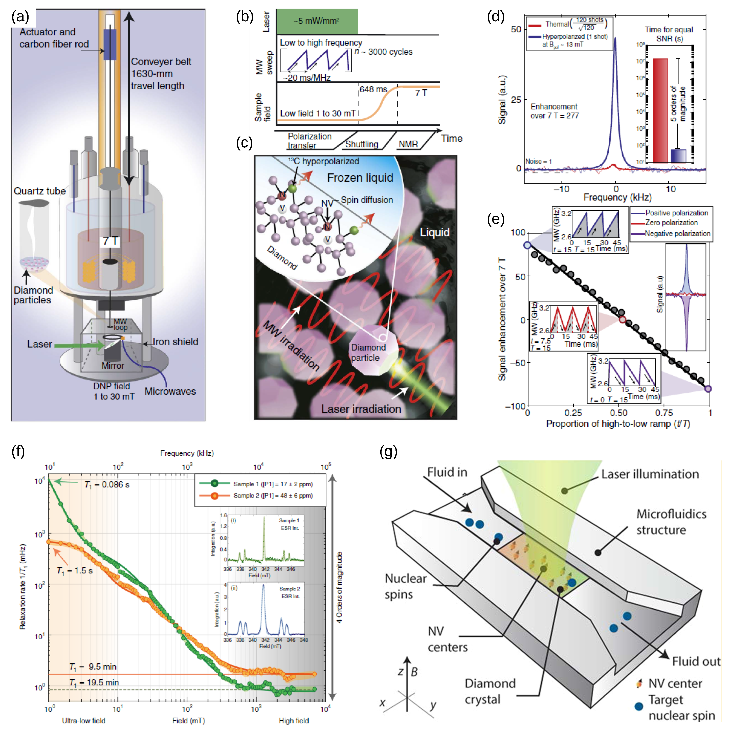 Biosensors 13 00691 g009 Biosensors 13 00691 g009
