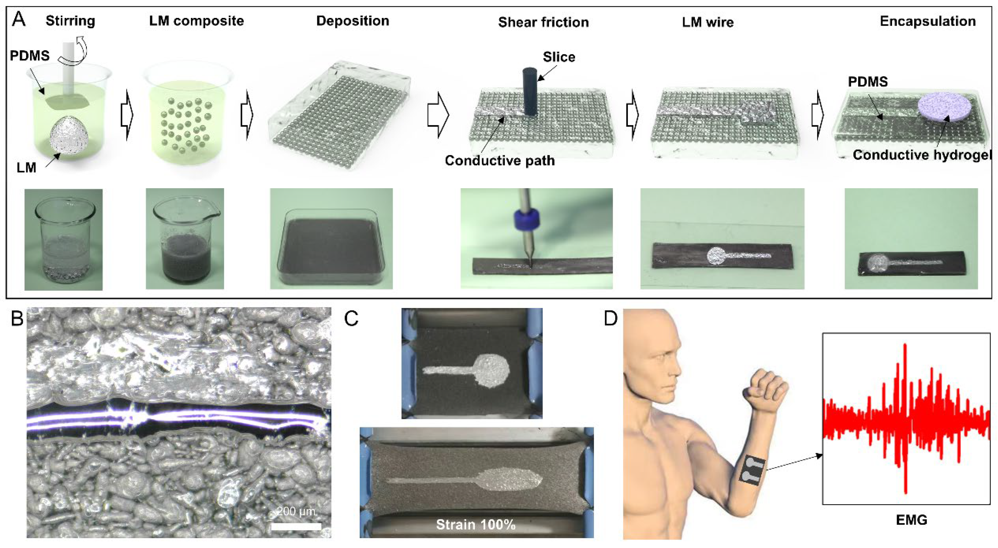 Biosensors 13 00692 g001