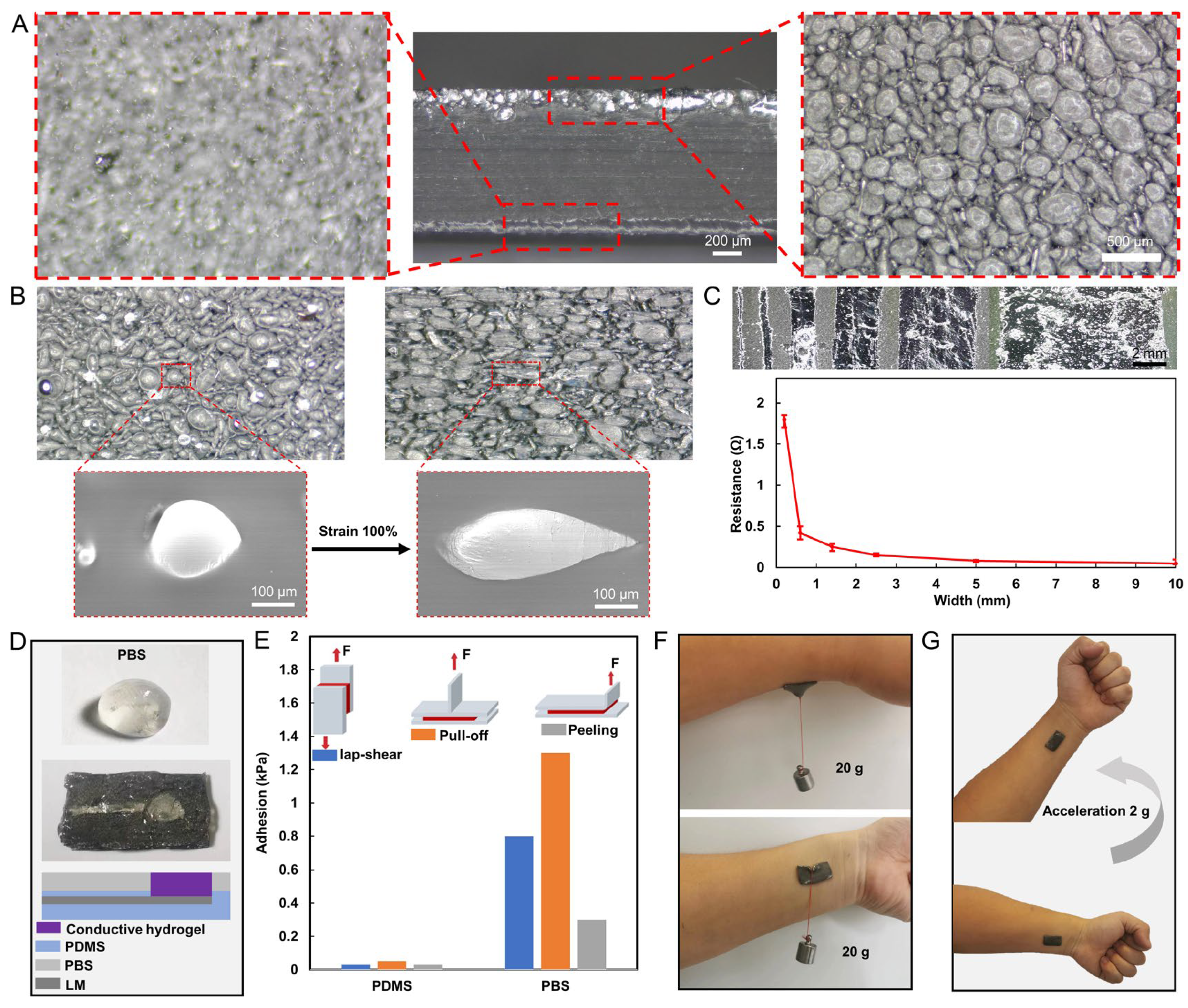 Biosensors 13 00692 g002