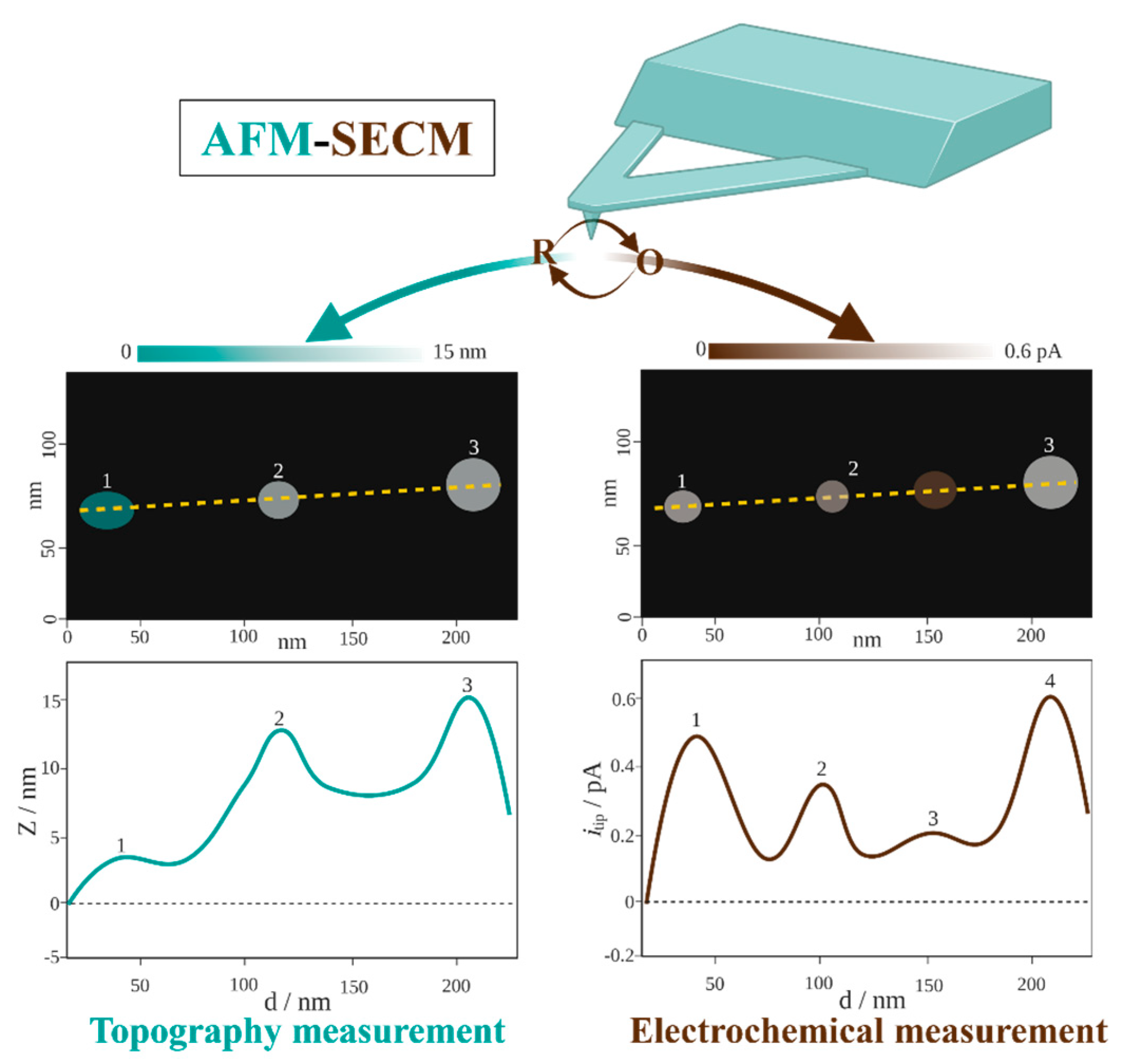 Biosensors 13 00695 g002
