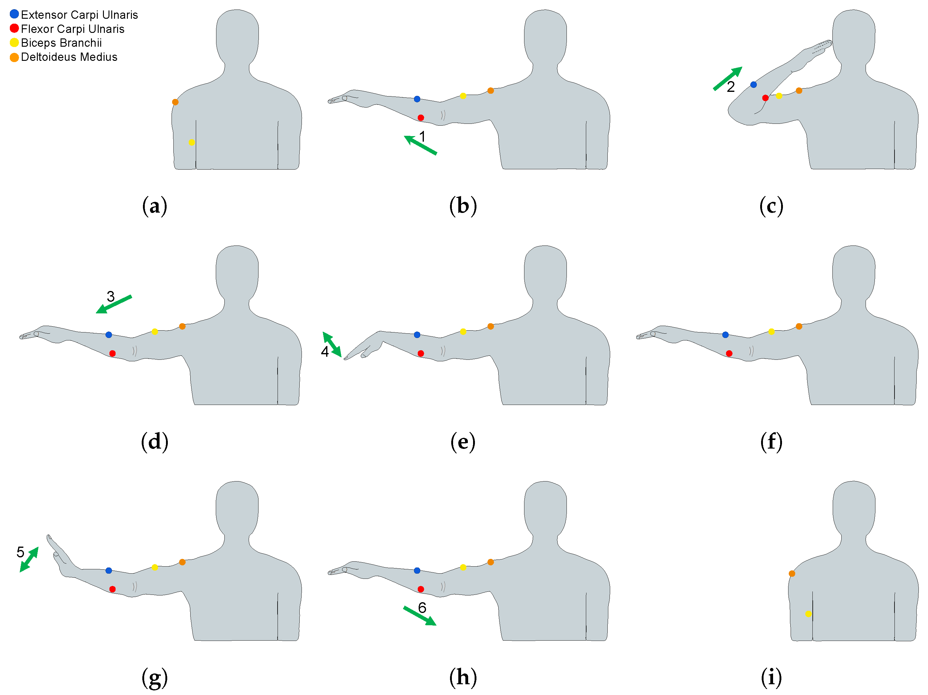 Biosensors 13 00697 g002