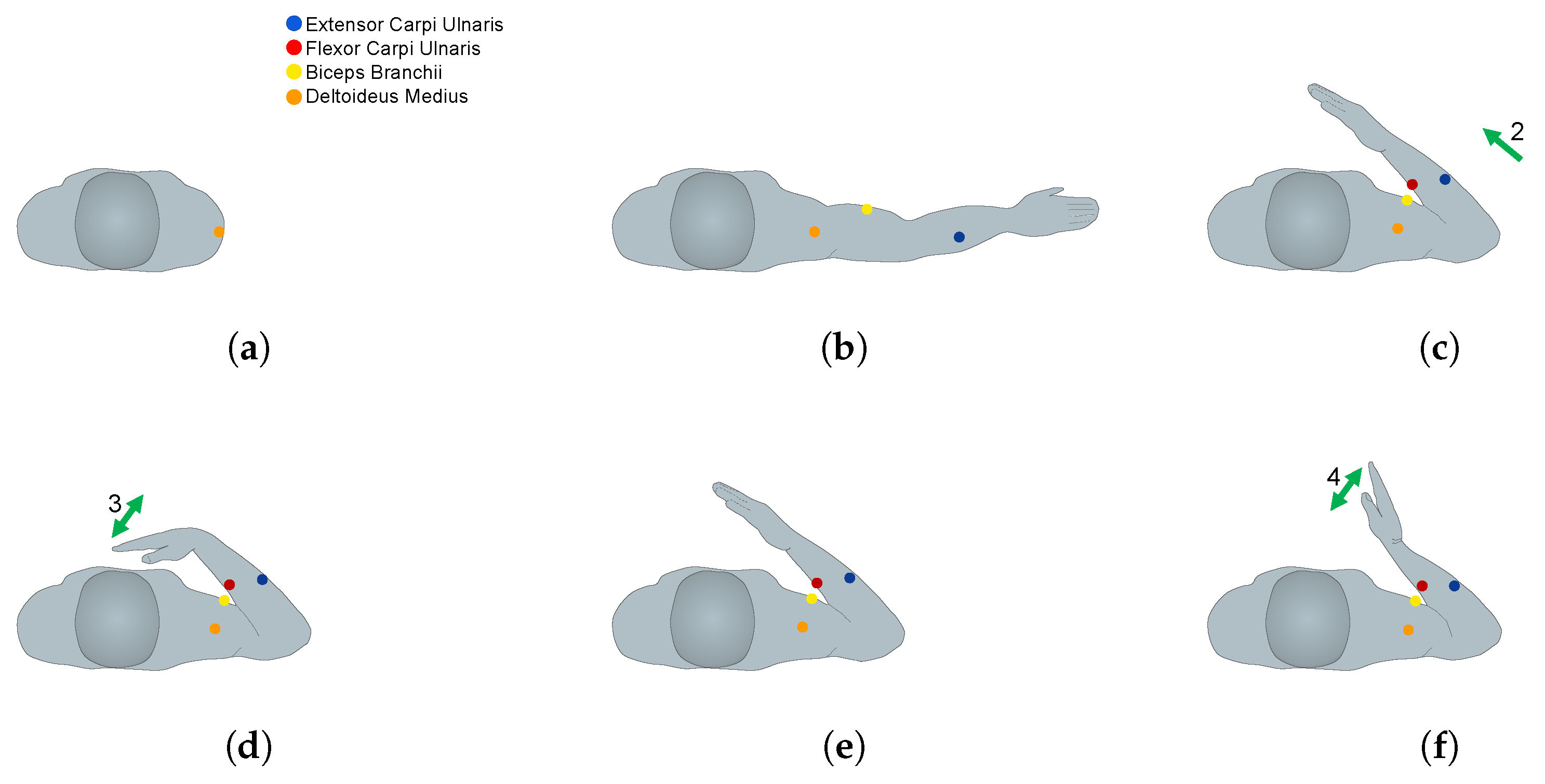 Biosensors 13 00697 g003a