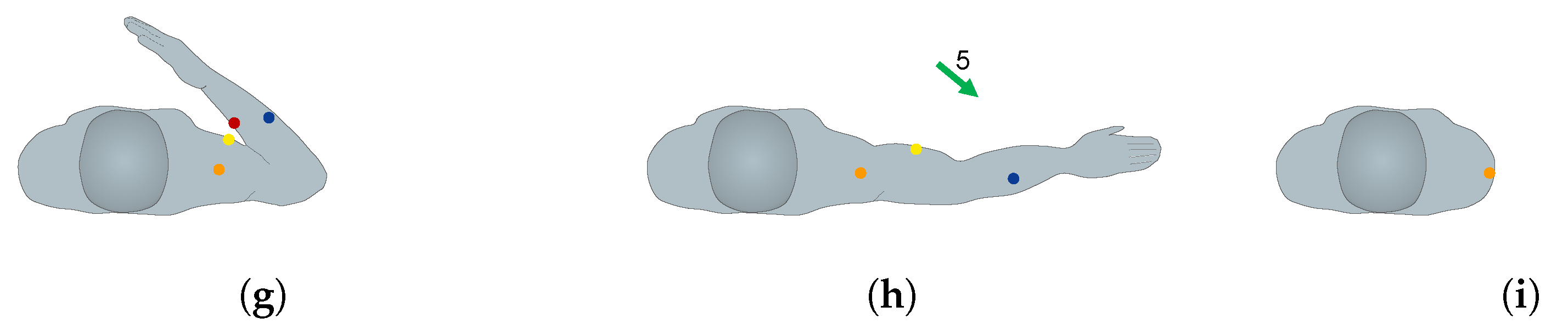 Biosensors 13 00697 g003b