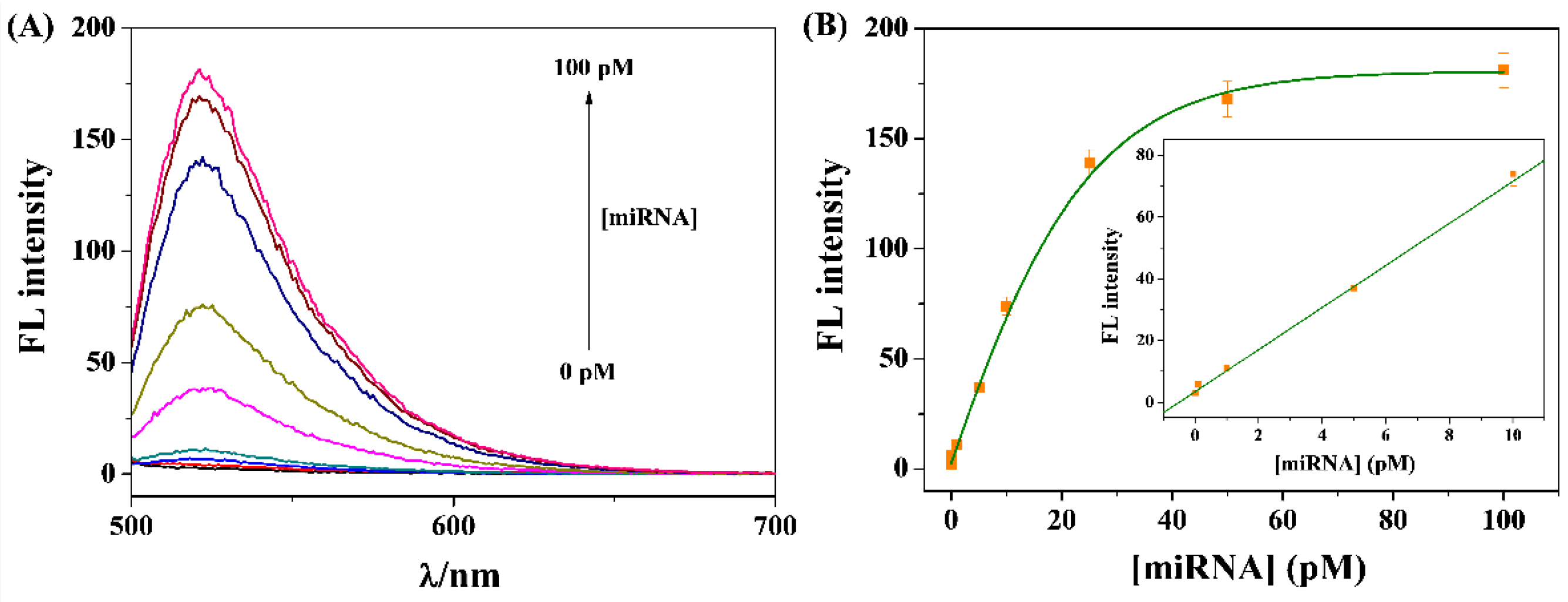 Biosensors 13 00699 g003 Biosensors 13 00699 g003