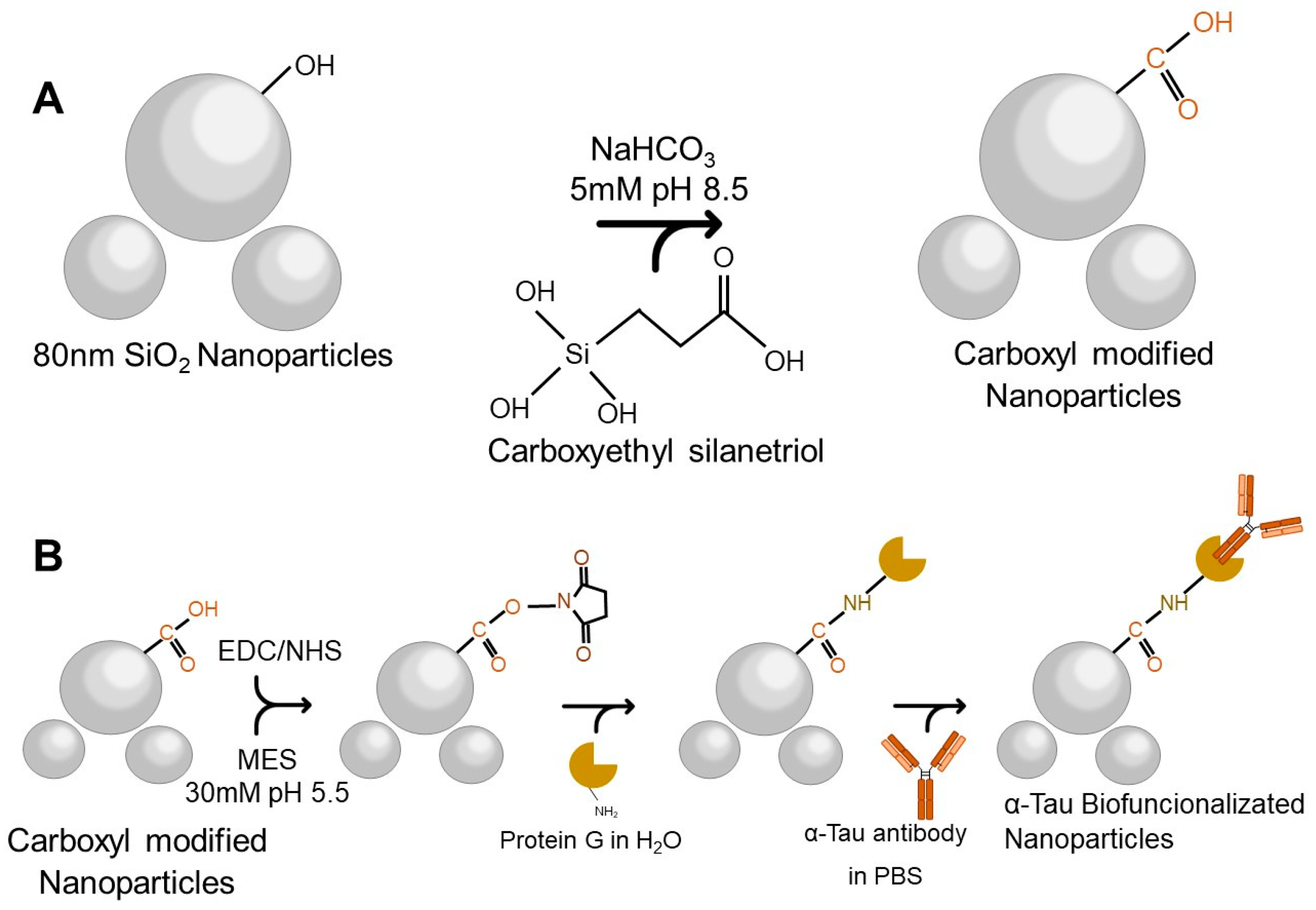 Biosensors 13 00707 g001