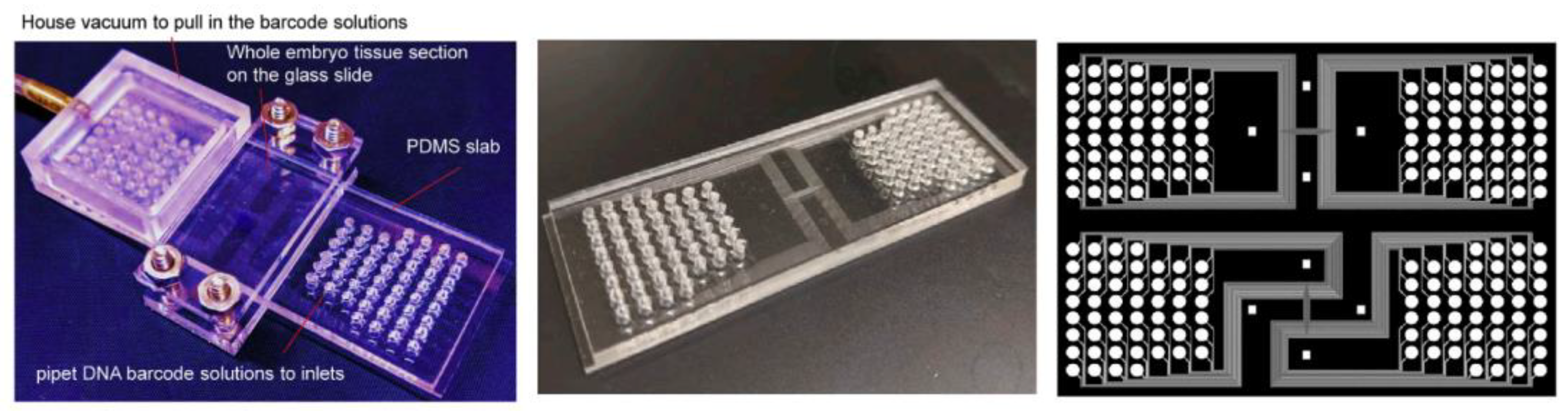 Biosensors 13 00712 g003 Biosensors 13 00712 g003