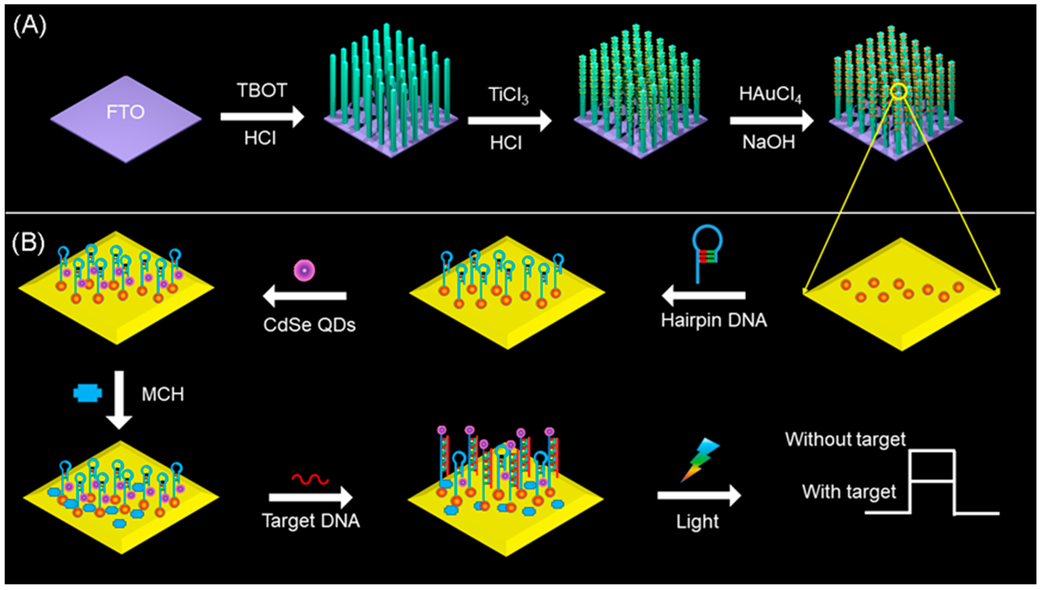 Biosensors 13 00714 sch001
