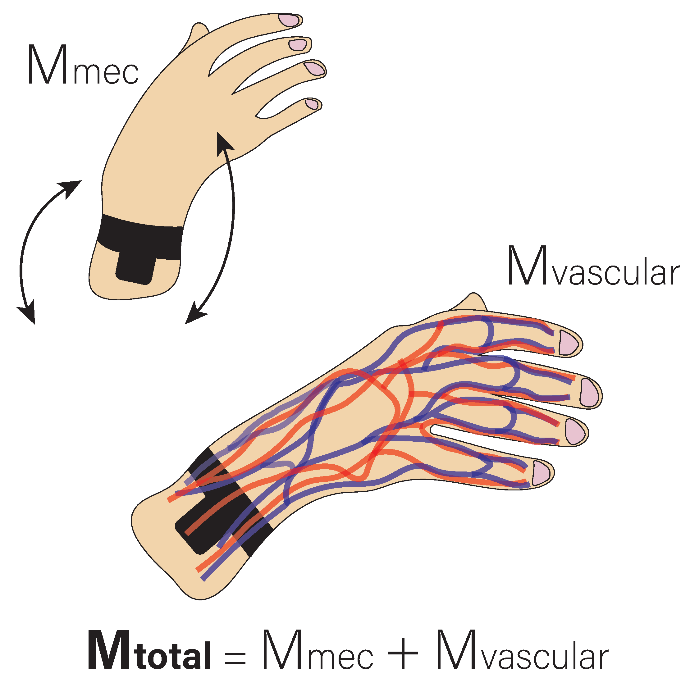 Biosensors 13 00718 g002 Biosensors 13 00718 g002