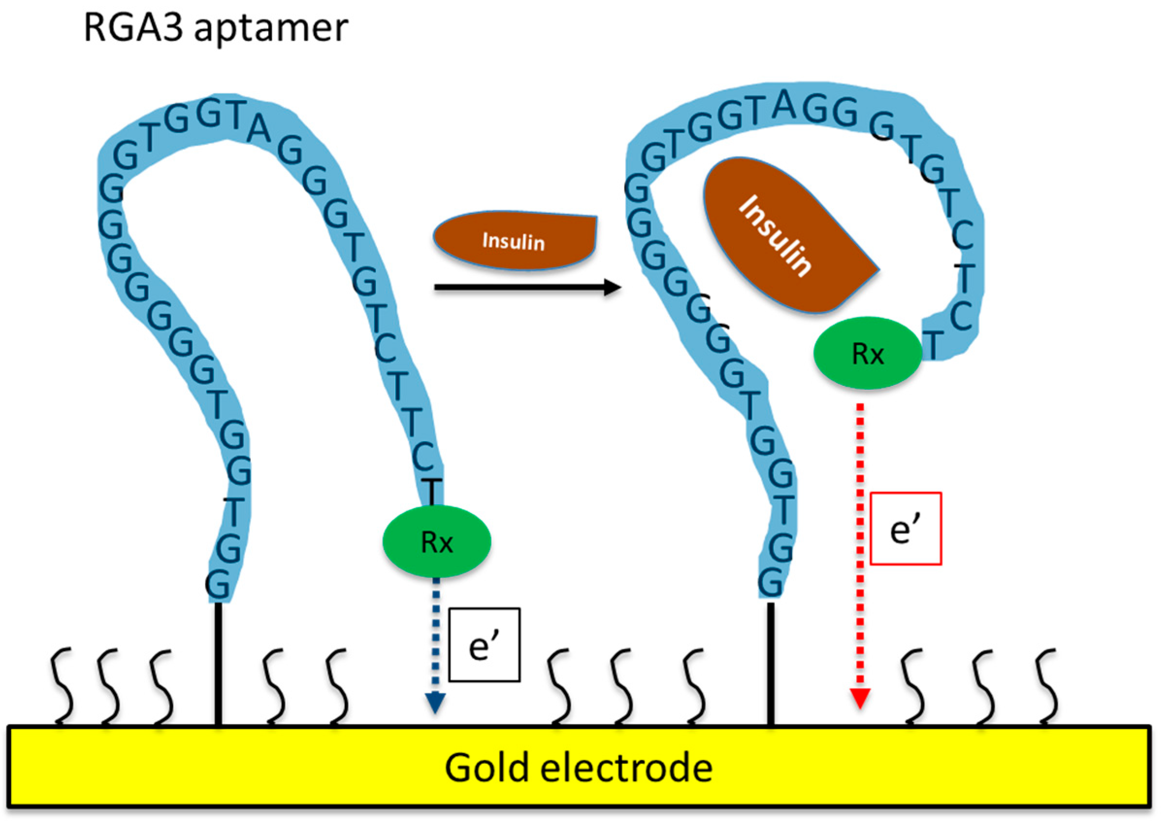 Biosensors 13 00719 g001