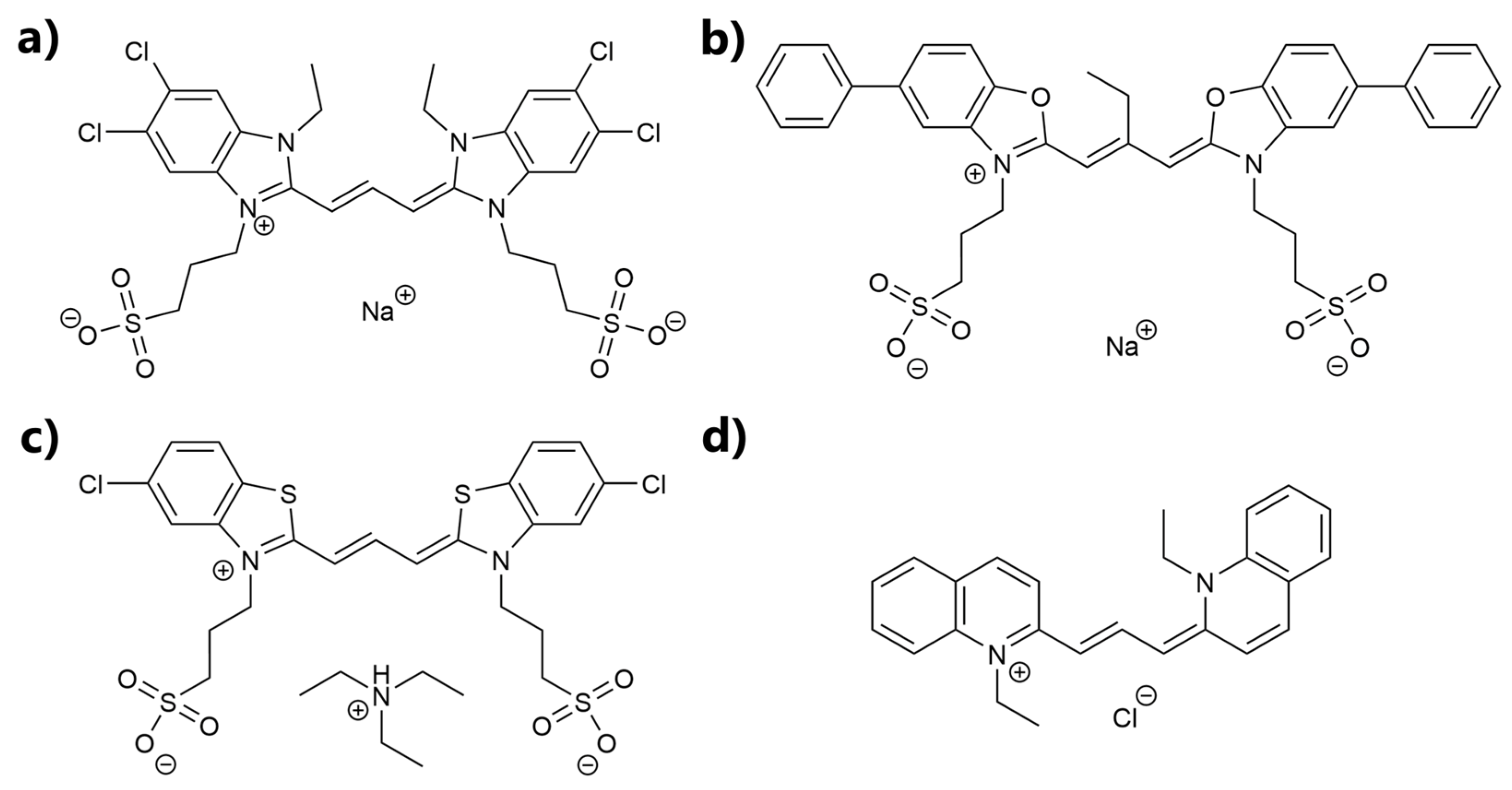 Biosensors 13 00720 g001 Biosensors 13 00720 g001