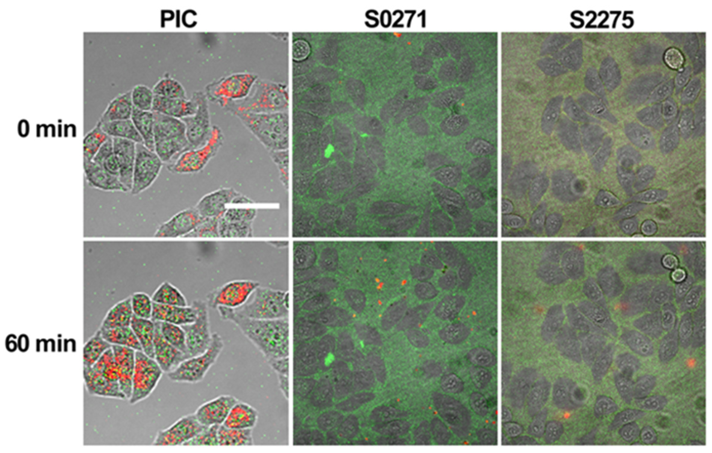 Biosensors 13 00720 g006 Biosensors 13 00720 g006