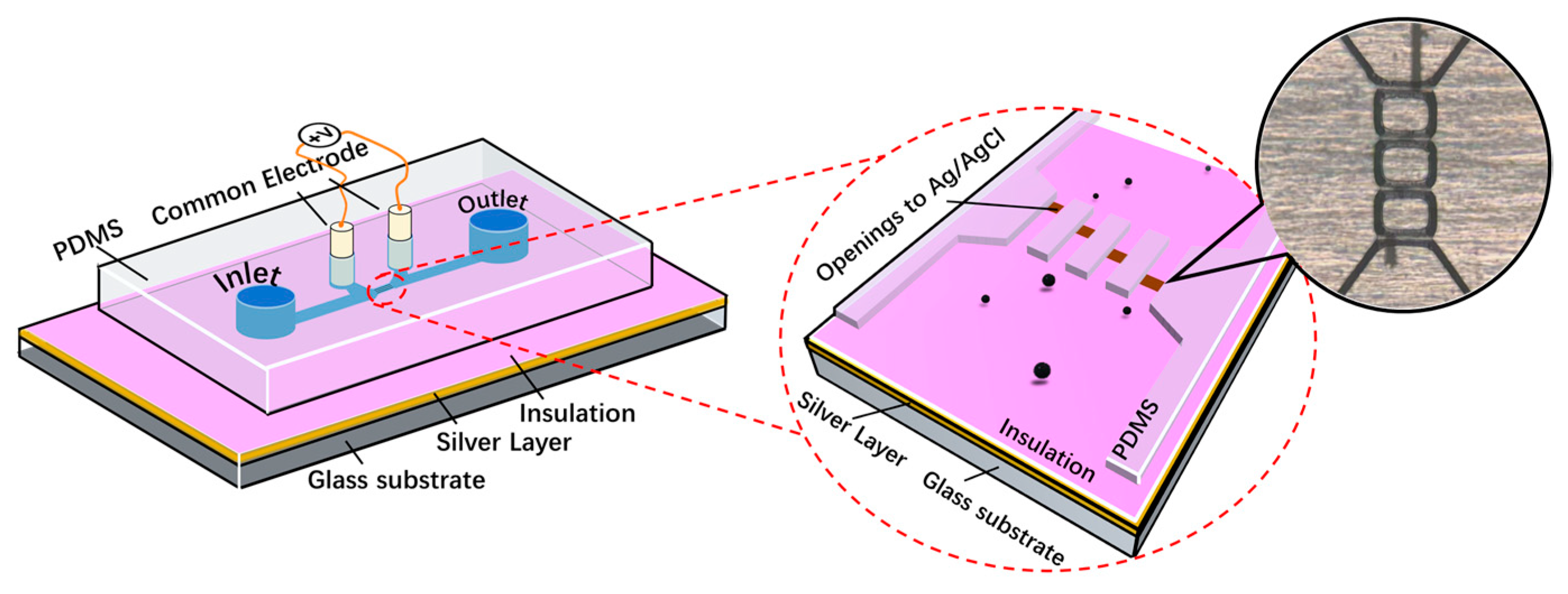 Biosensors 13 00721 g001 Biosensors 13 00721 g001