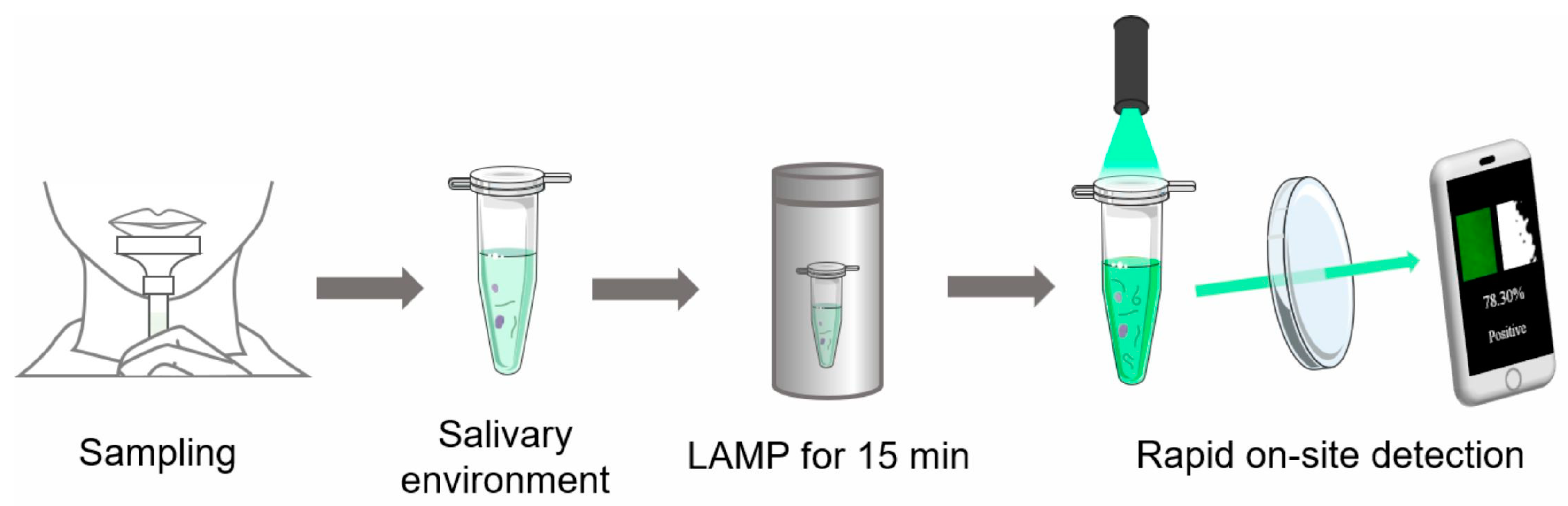 Biosensors 13 00724 g001 Biosensors 13 00724 g001