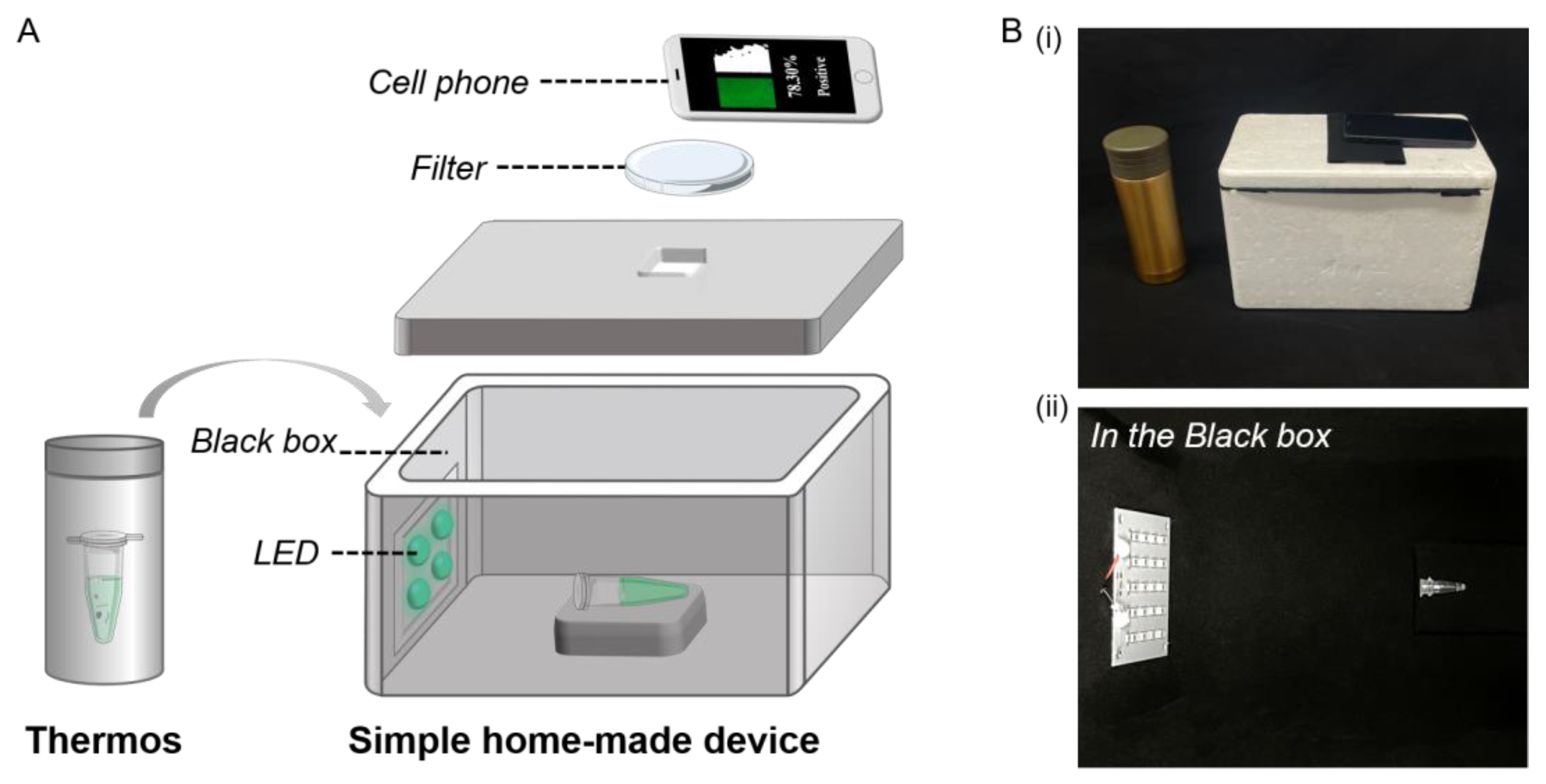 Biosensors 13 00724 g004 Biosensors 13 00724 g004