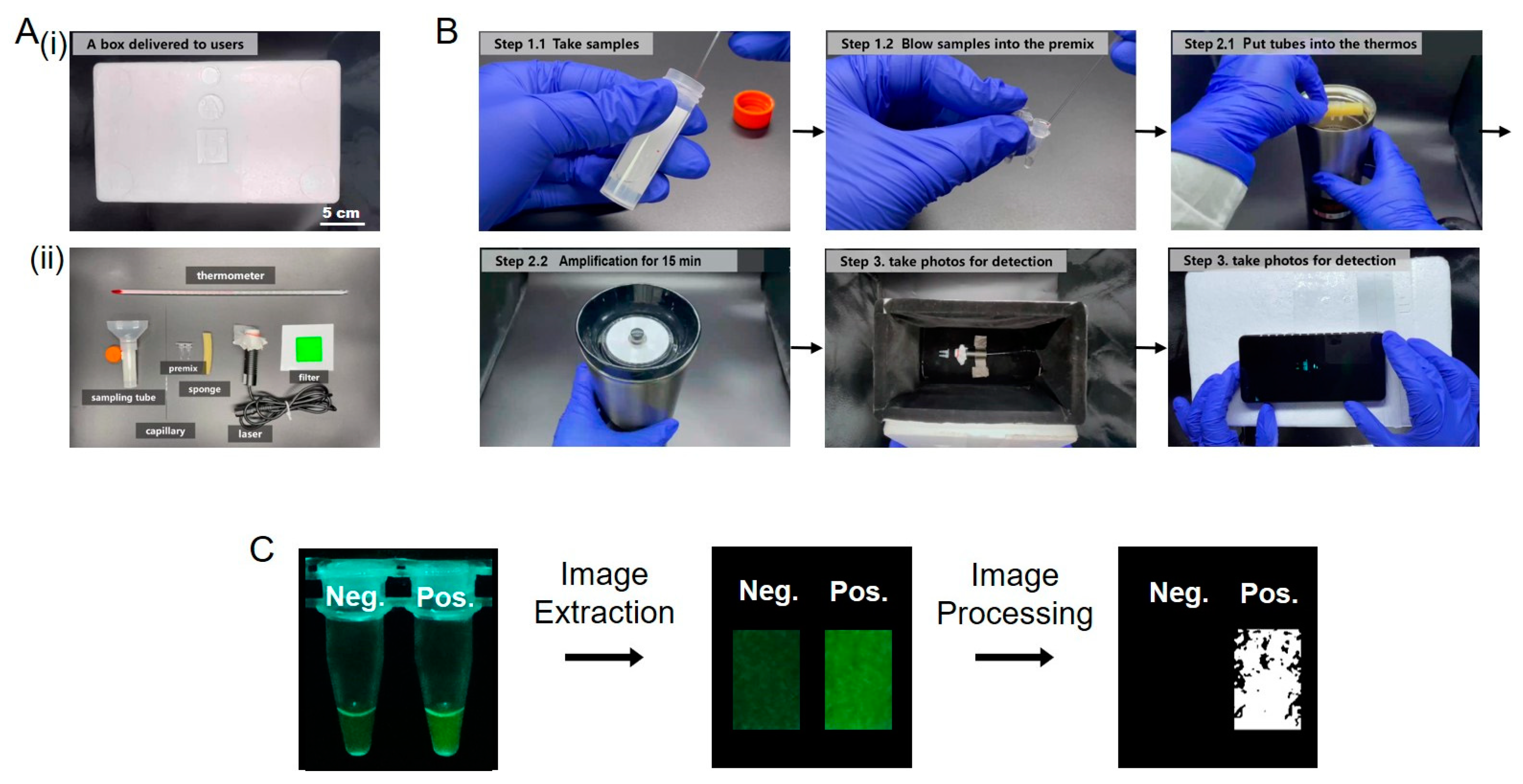 Biosensors 13 00724 g005 Biosensors 13 00724 g005