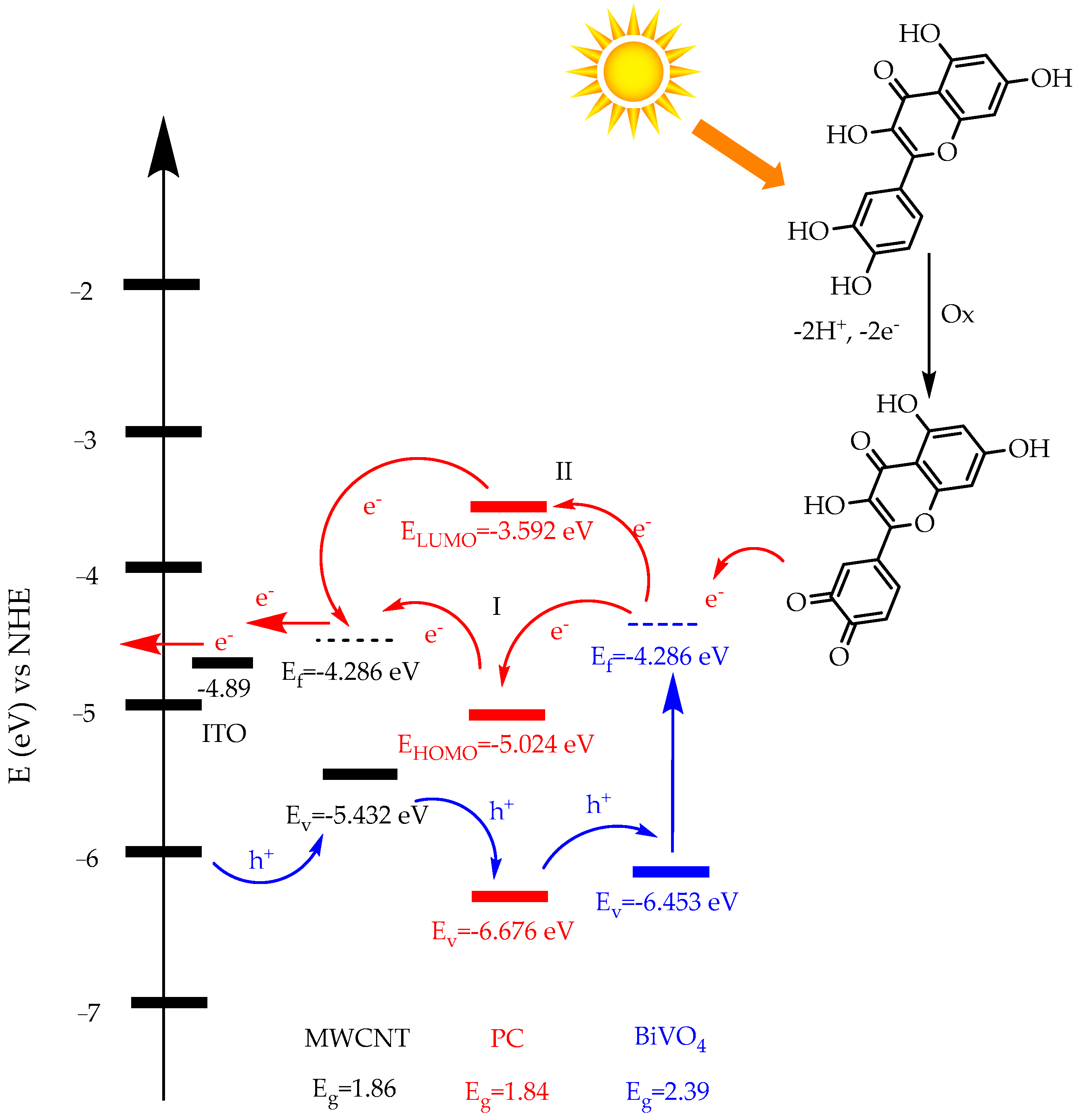 Biosensors 13 00729 g005 Biosensors 13 00729 g005