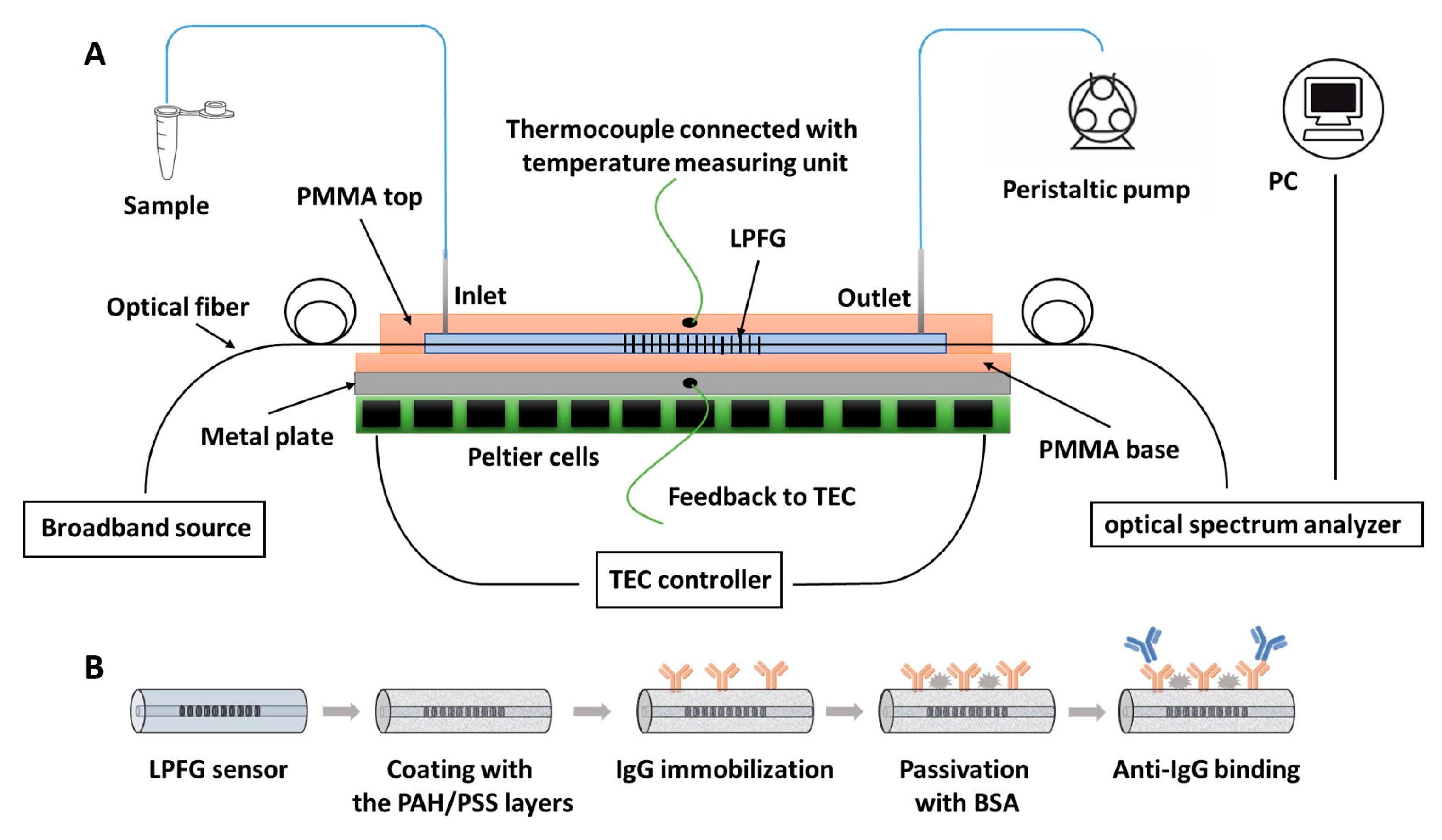 Biosensors 13 00731 g001 Biosensors 13 00731 g001