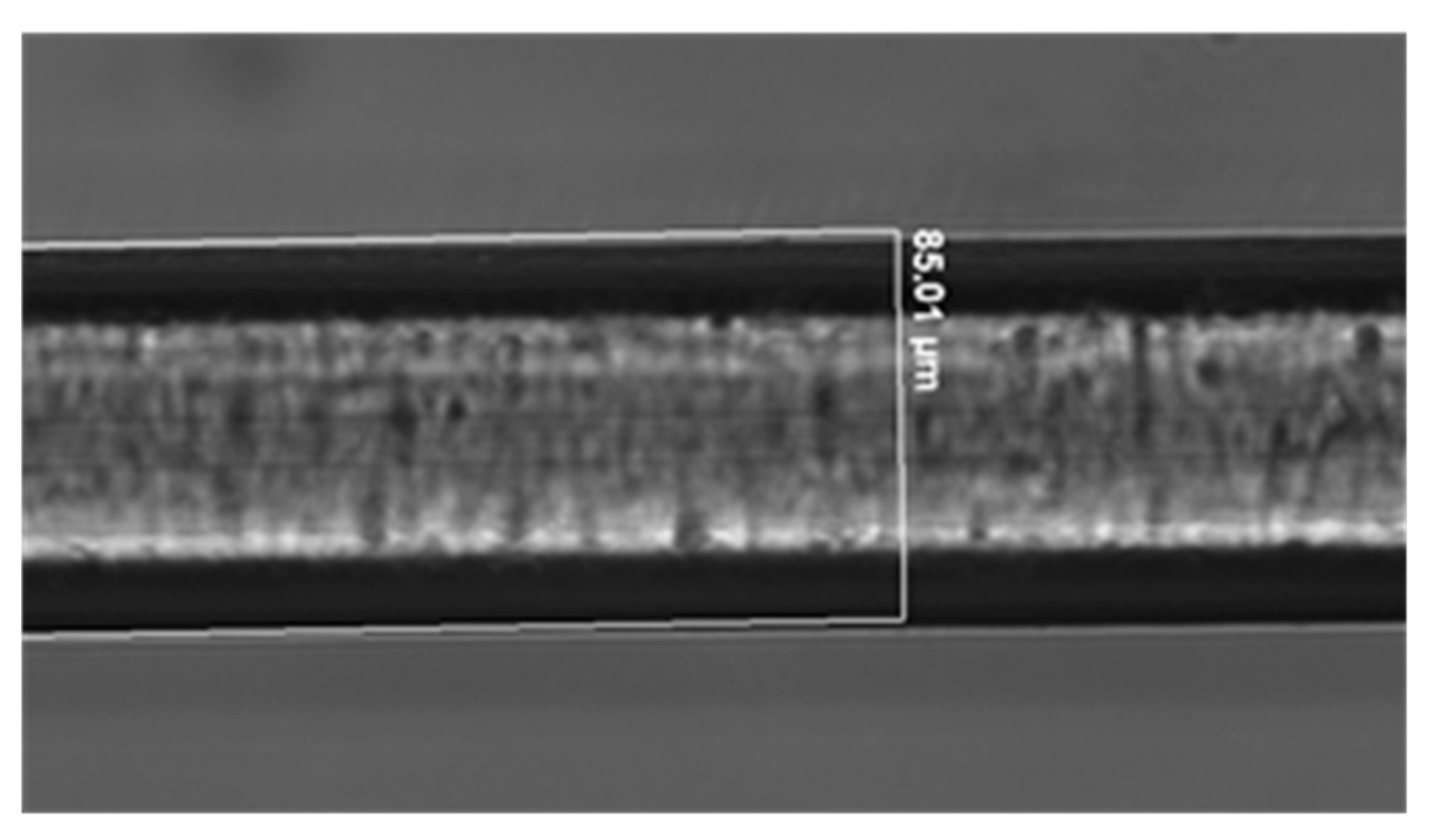 Biosensors 13 00731 g006 Biosensors 13 00731 g006