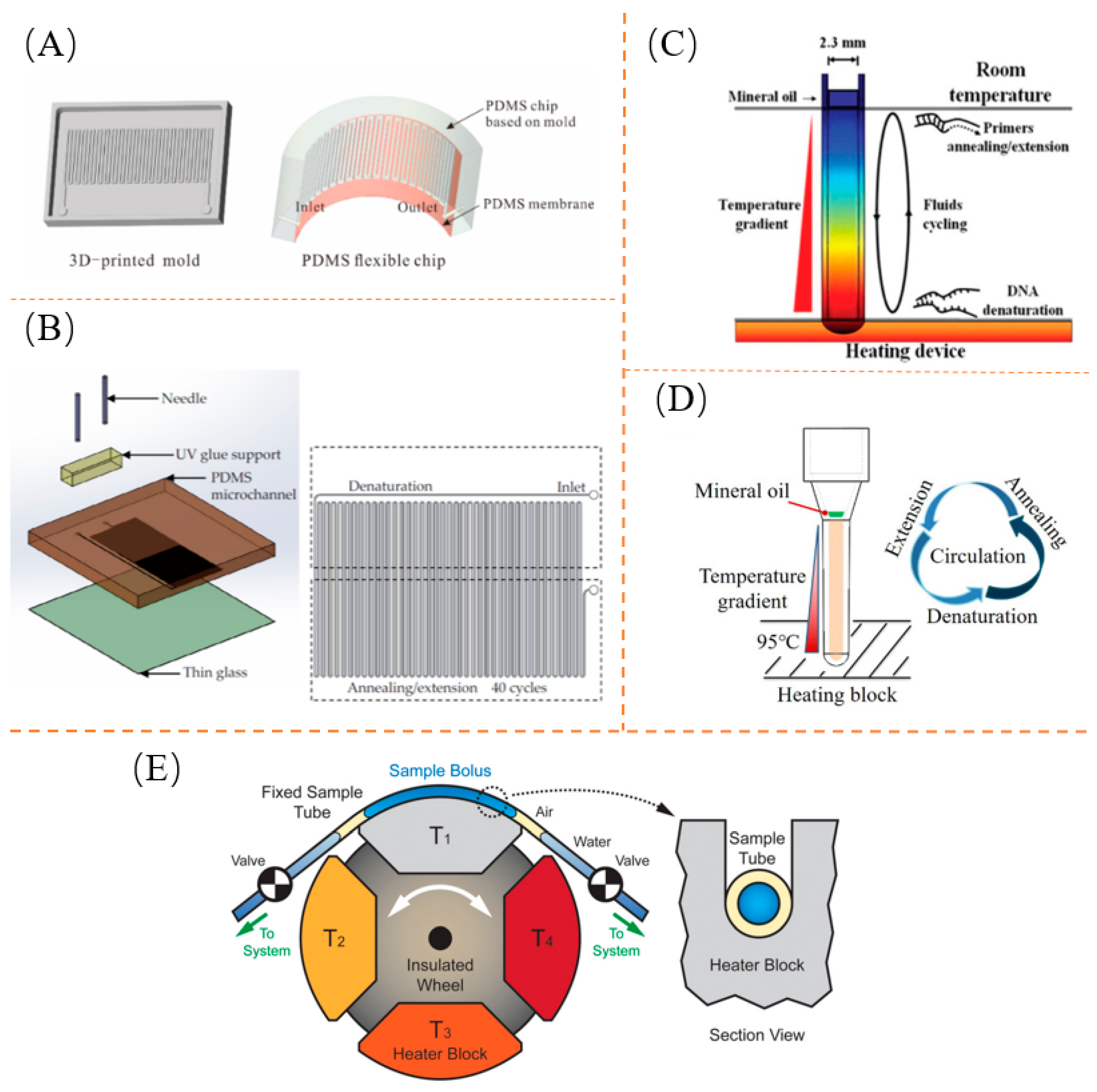 xfree.hu ls naked 80 MeCP2 and Chromatin Compartmentalization
