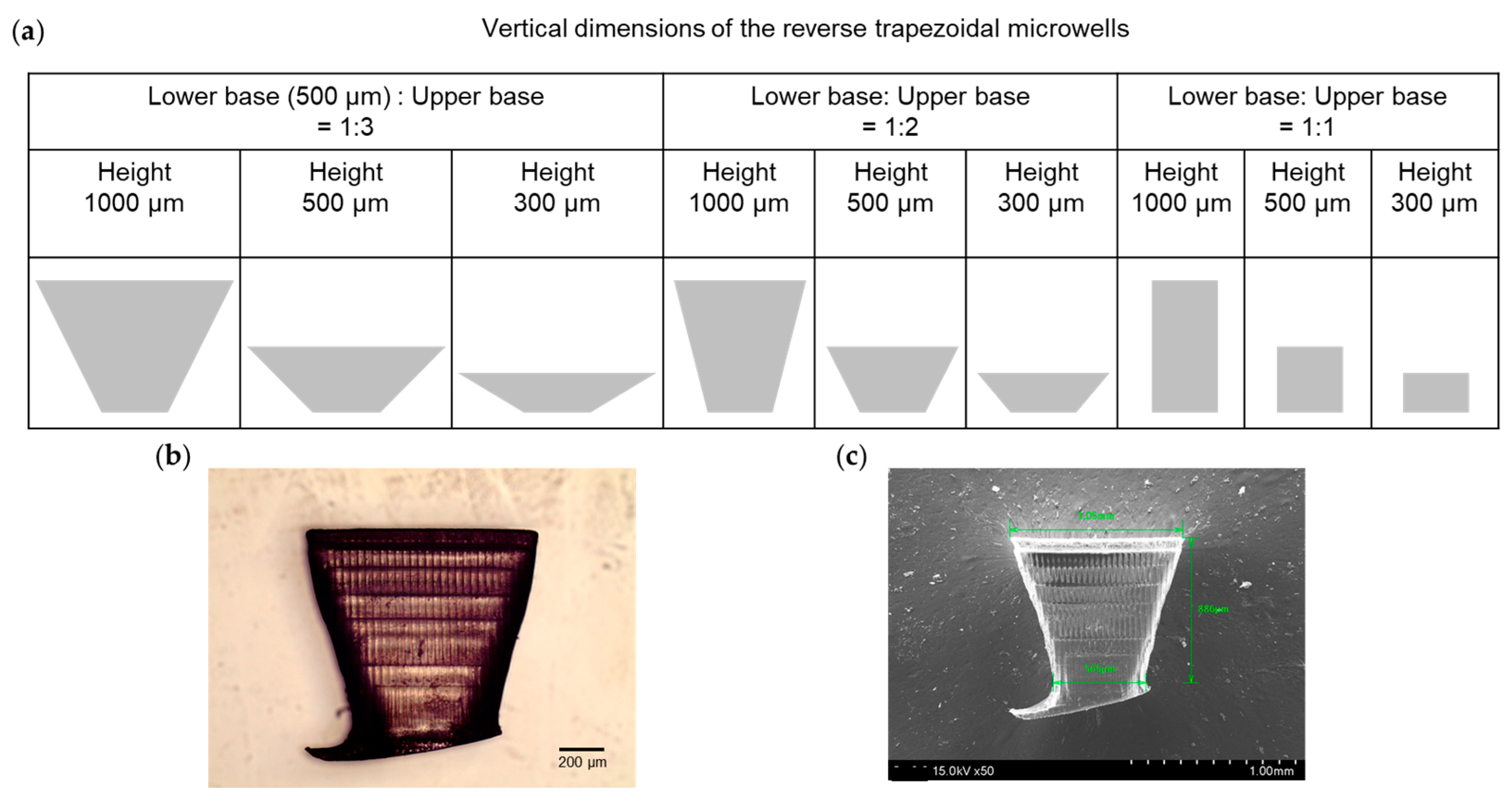 Biosensors 13 00733 g003 Biosensors 13 00733 g003
