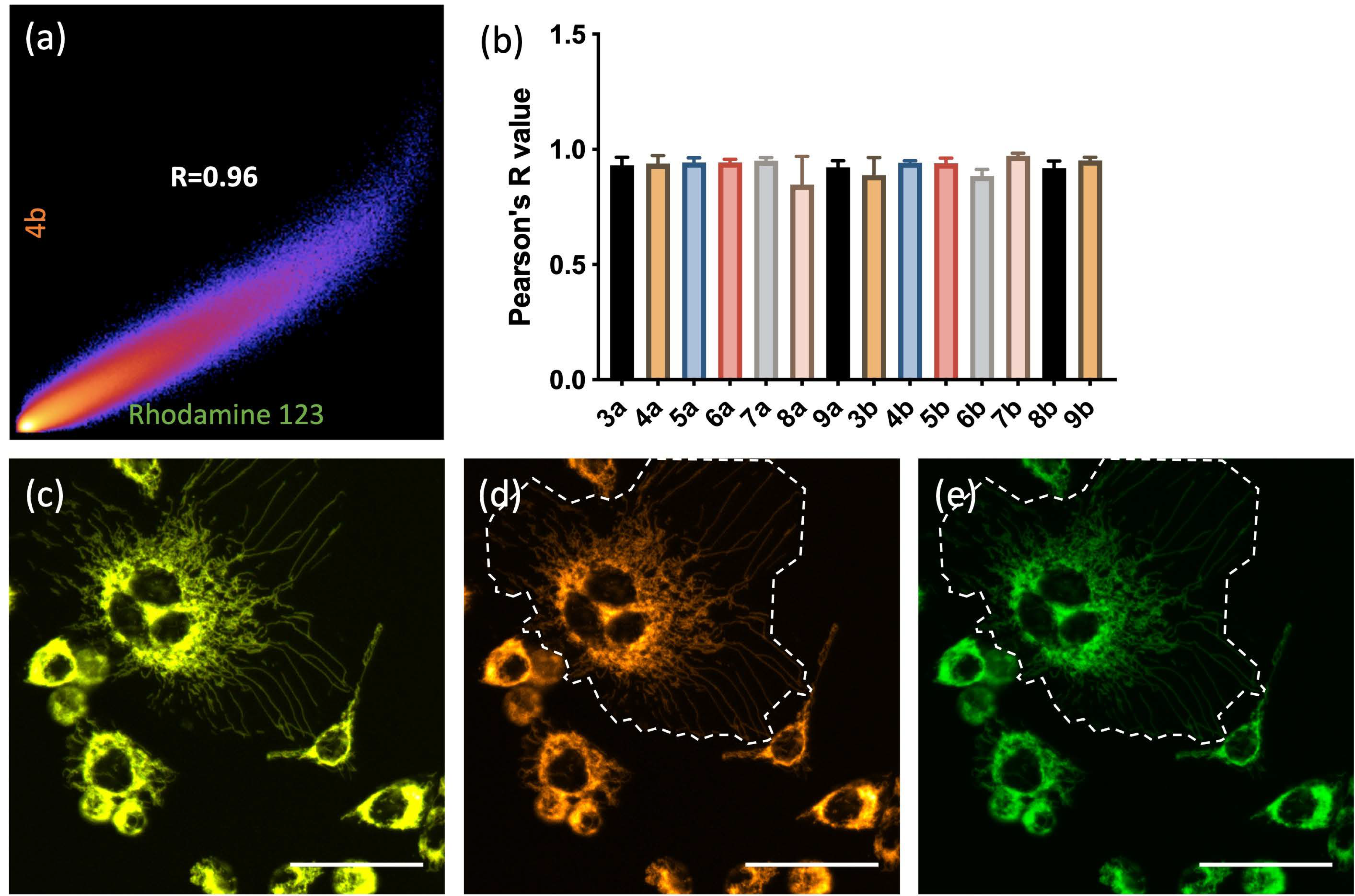 Biosensors 13 00734 g005 Biosensors 13 00734 g005