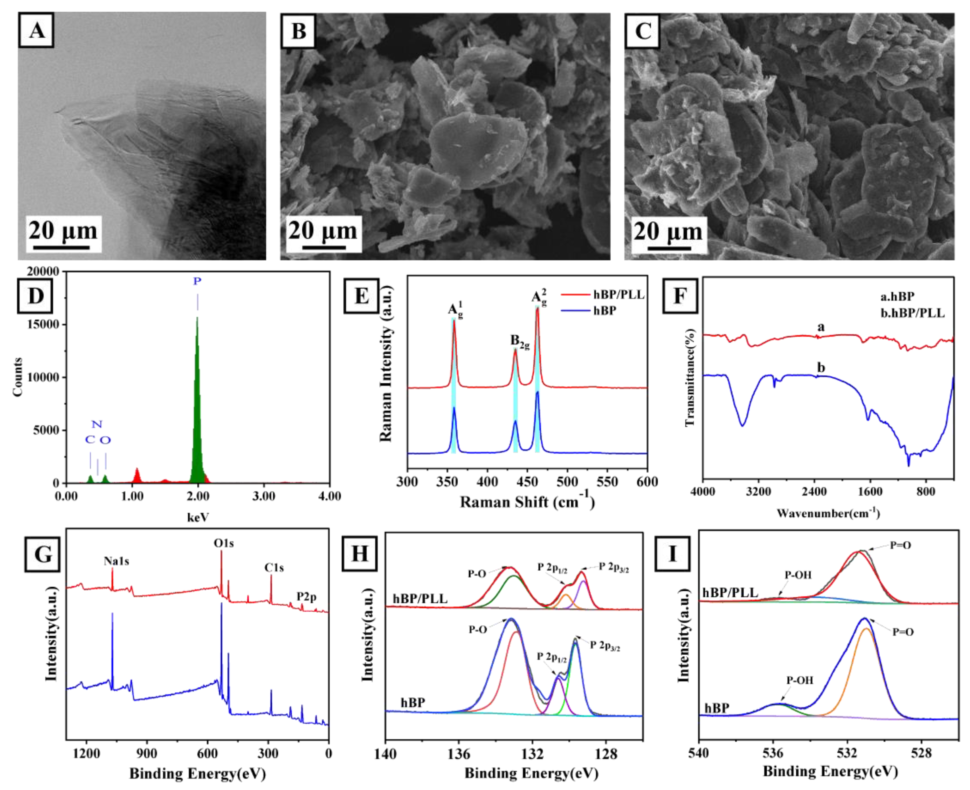 Biosensors 13 00735 g001 Biosensors 13 00735 g001