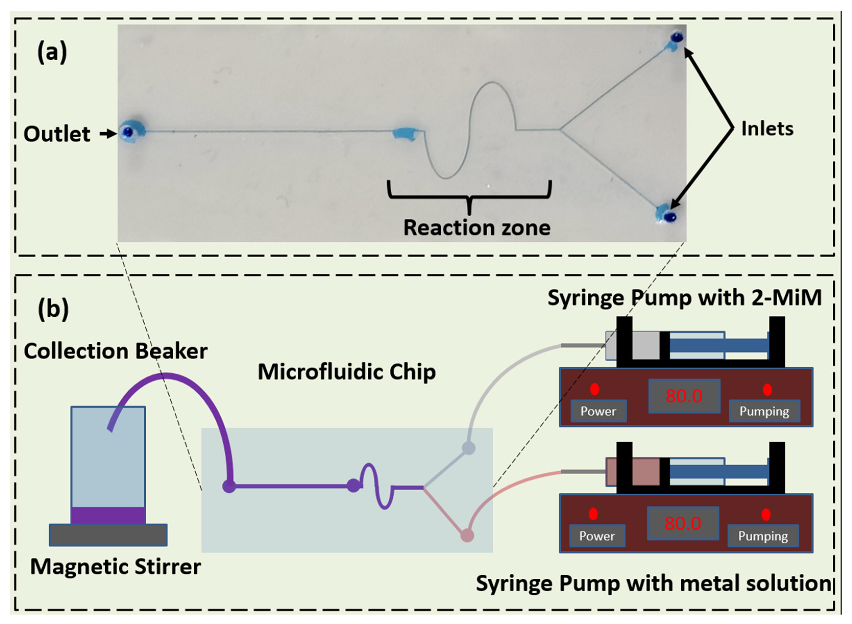 Biosensors 13 00737 g001 Biosensors 13 00737 g001