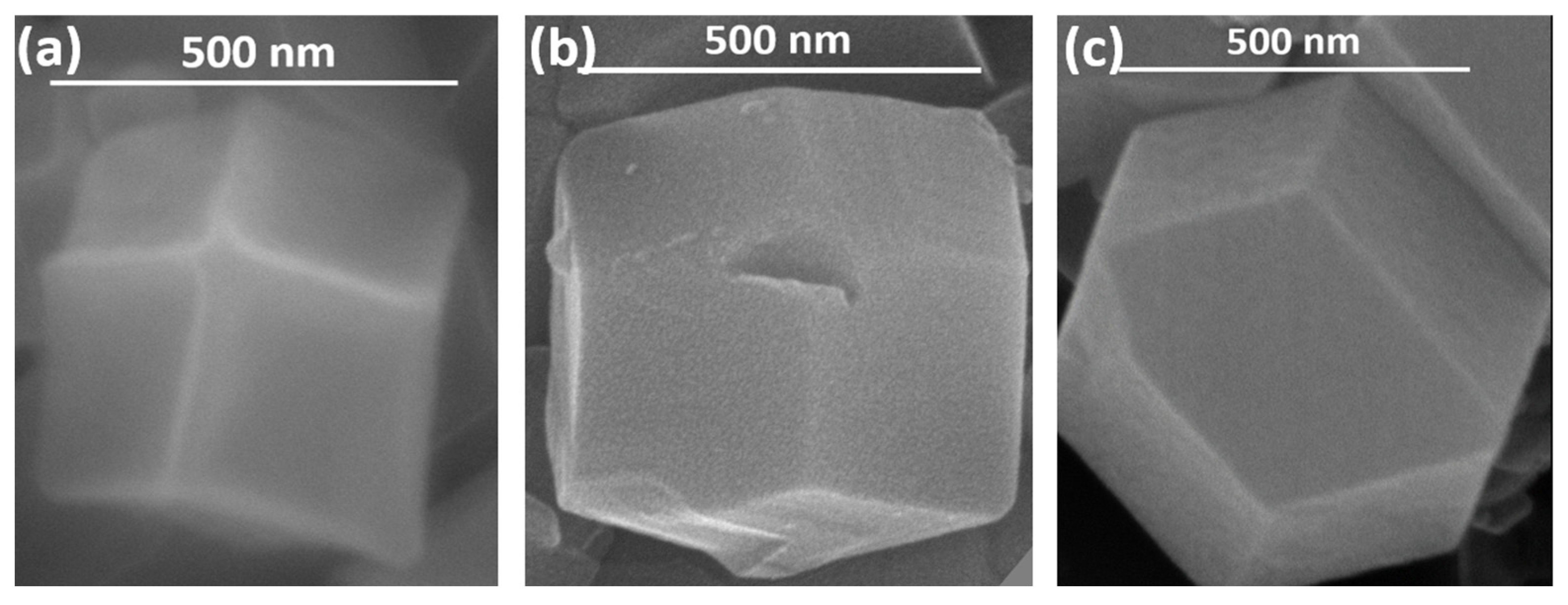 Biosensors 13 00737 g002 Biosensors 13 00737 g002