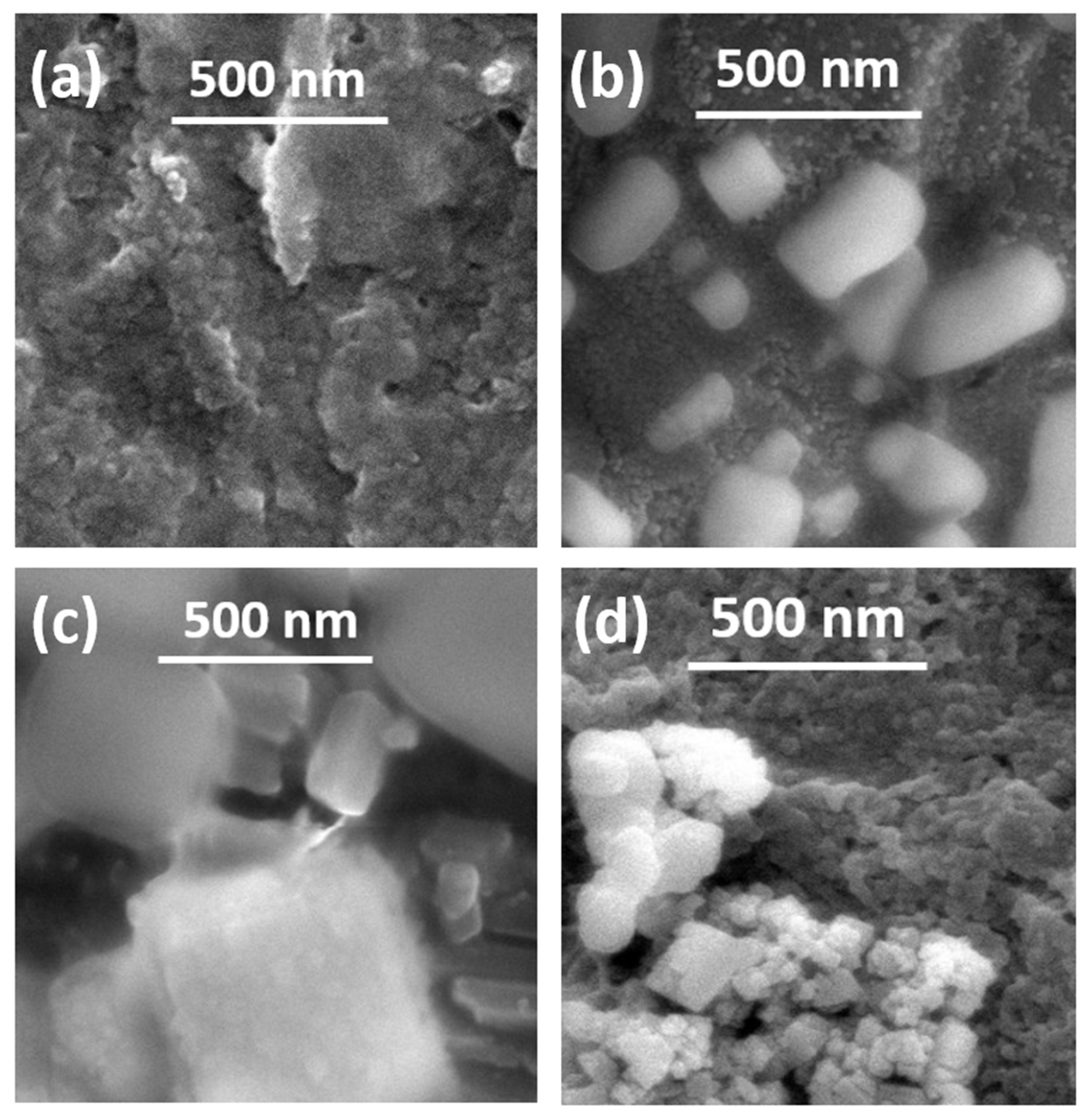 Biosensors 13 00737 g003 Biosensors 13 00737 g003