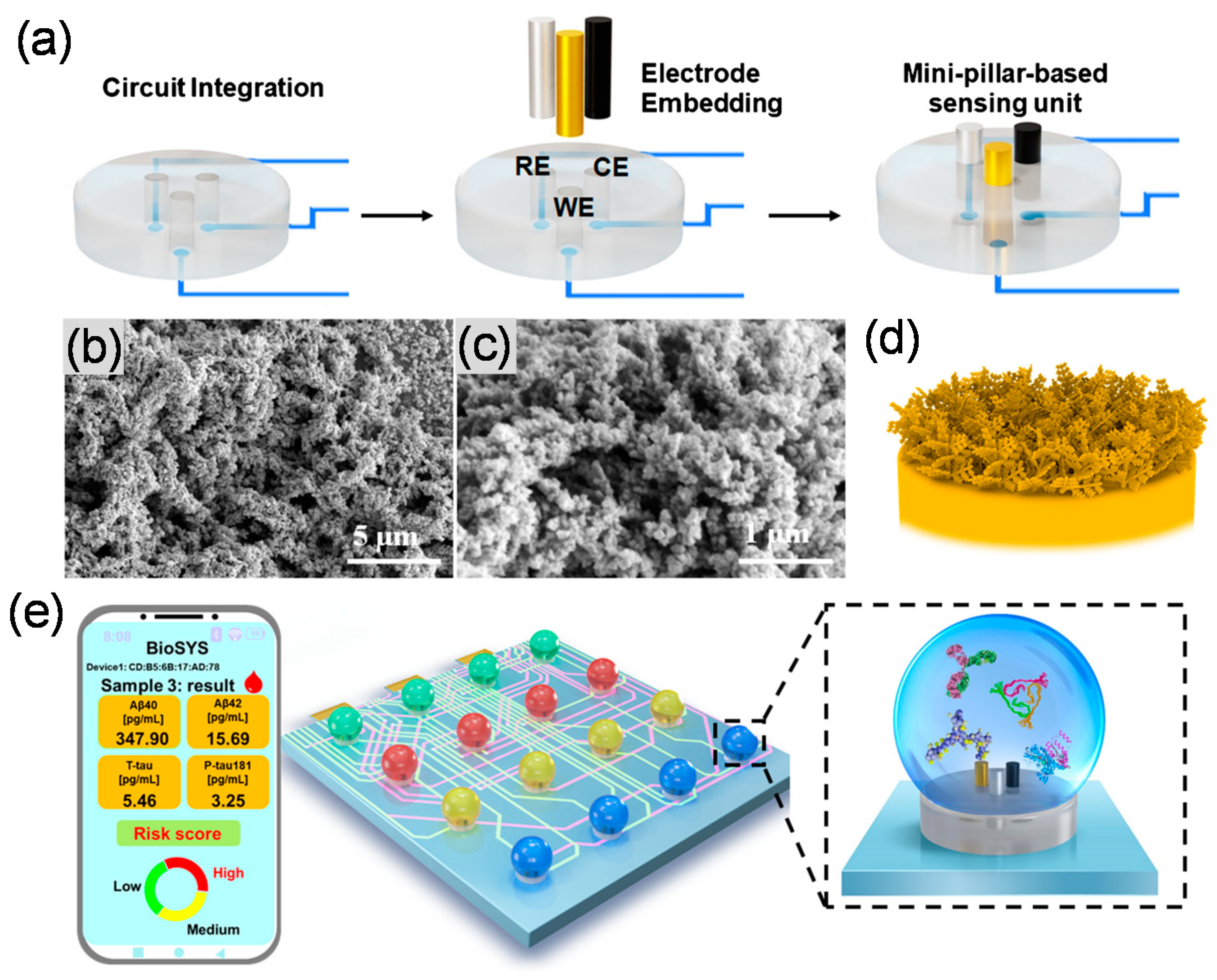 Biosensors 13 00742 g003 Biosensors 13 00742 g003