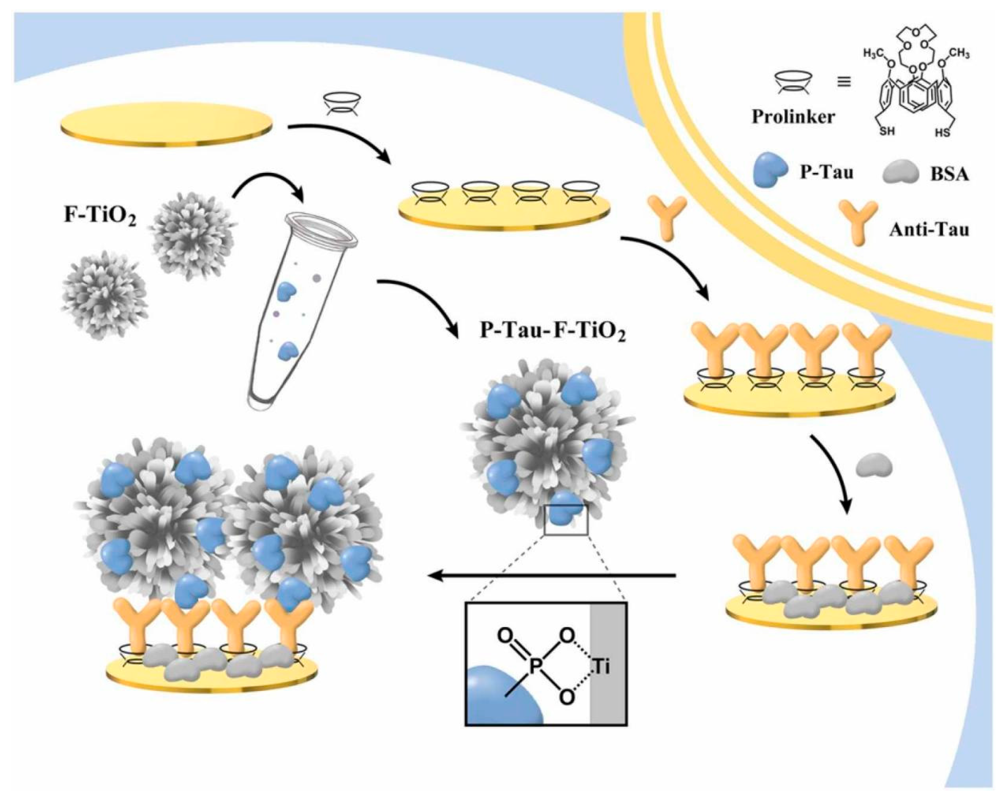 Biosensors 13 00742 g005 Biosensors 13 00742 g005